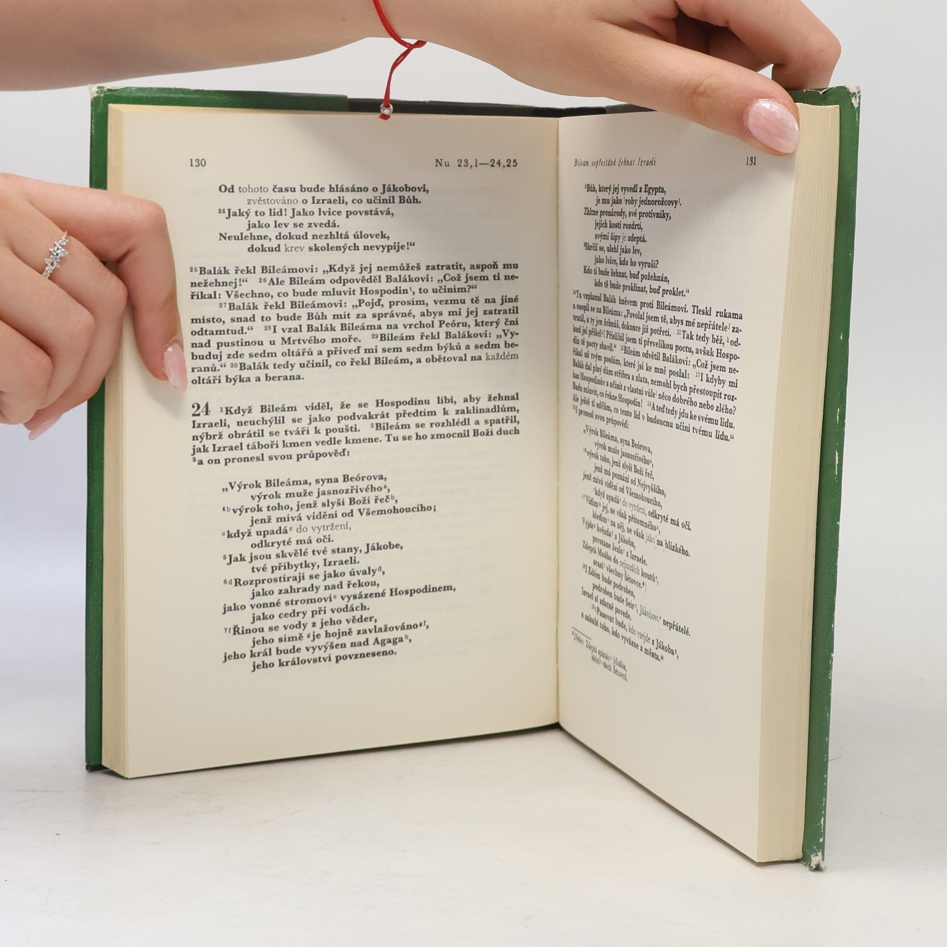 Autorenkollektiv Starý Zákon 3. Numeri. Deuteronomium