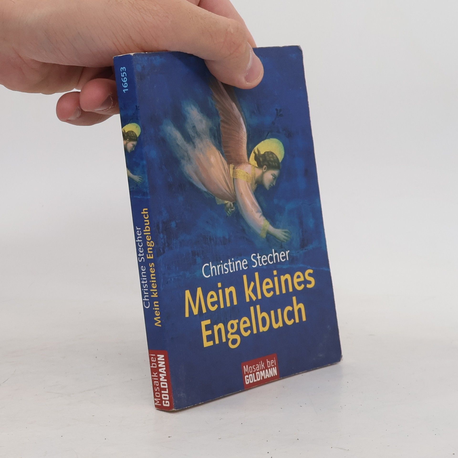 Christine Stecher Mein kleines Engelbuch
