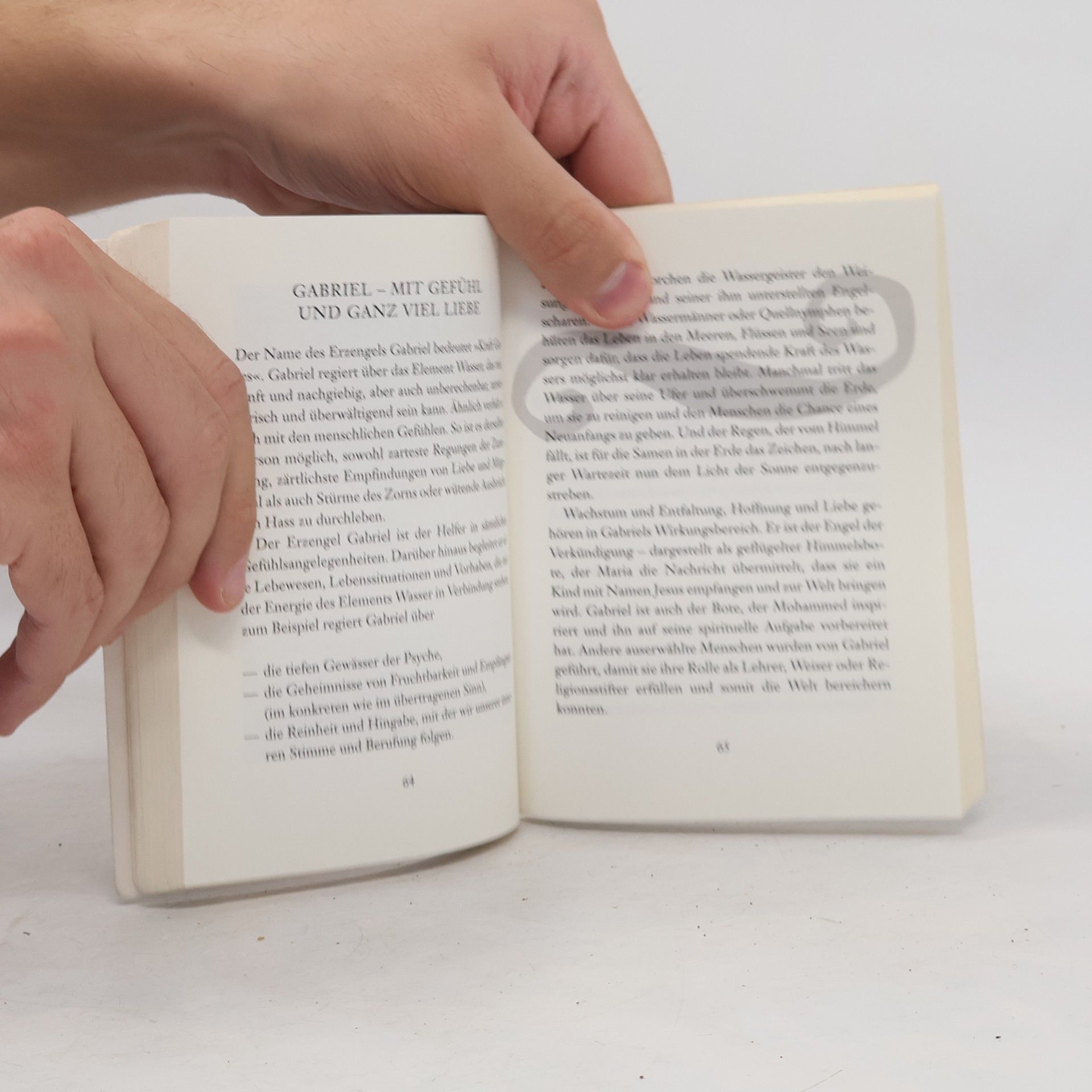 Stecher Christine Mein kleines Engelbuch