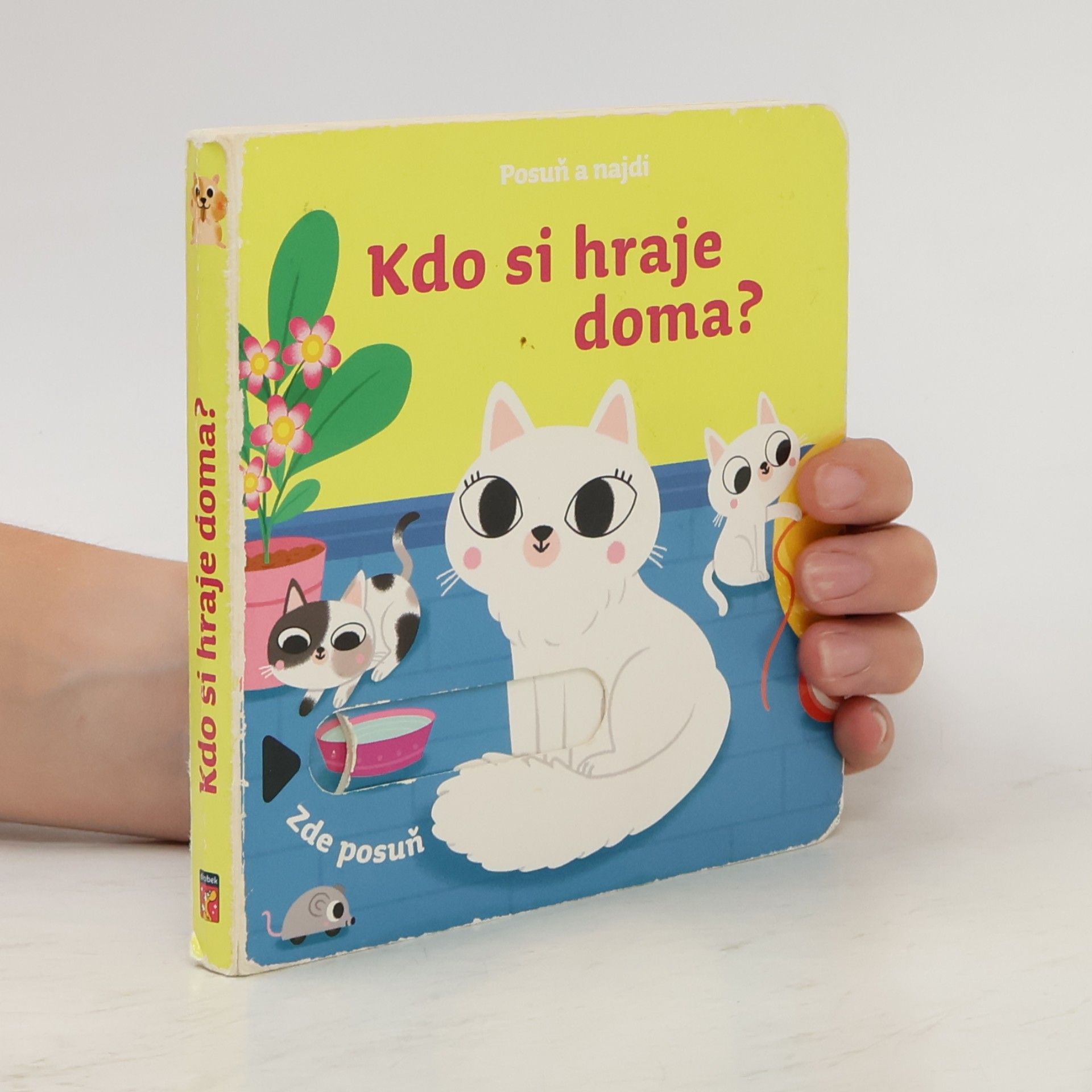 Kolektiv autorů Posuň a najdi: Kdo si hraje doma?