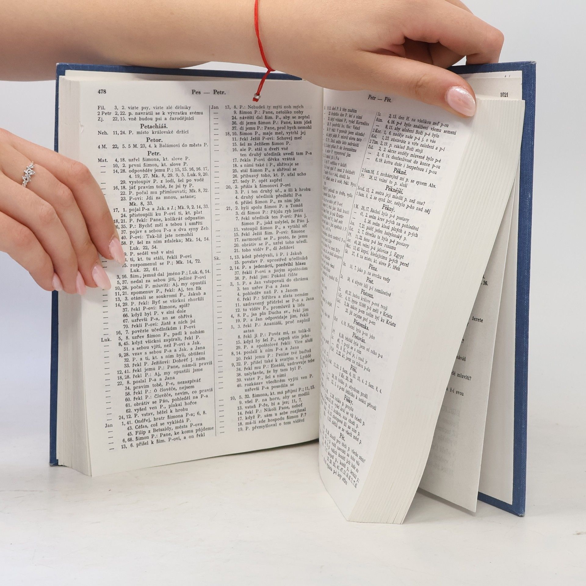 Various authors Biblická konkordance. K textu Kralické bible
