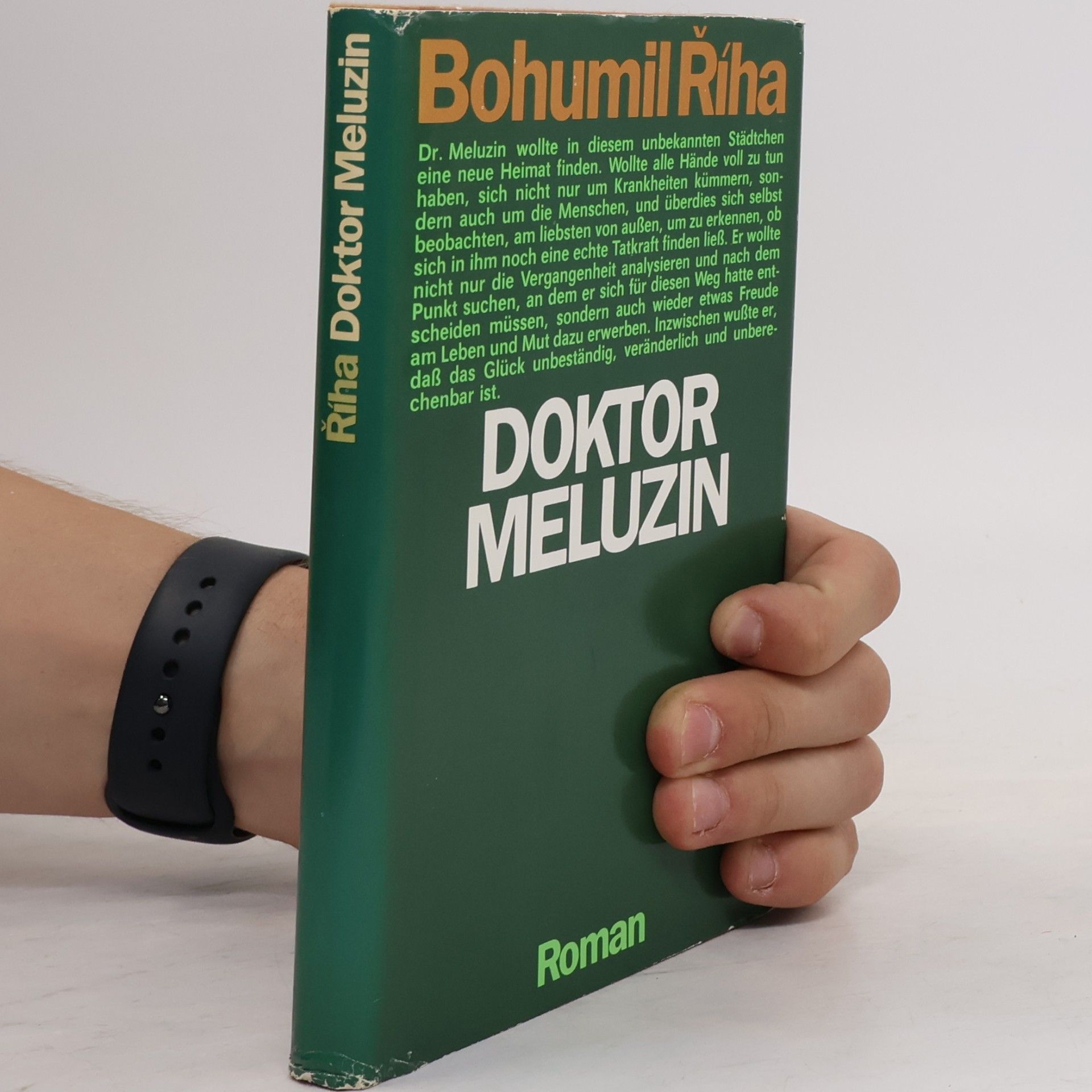 Doktor Meluzin. Roman