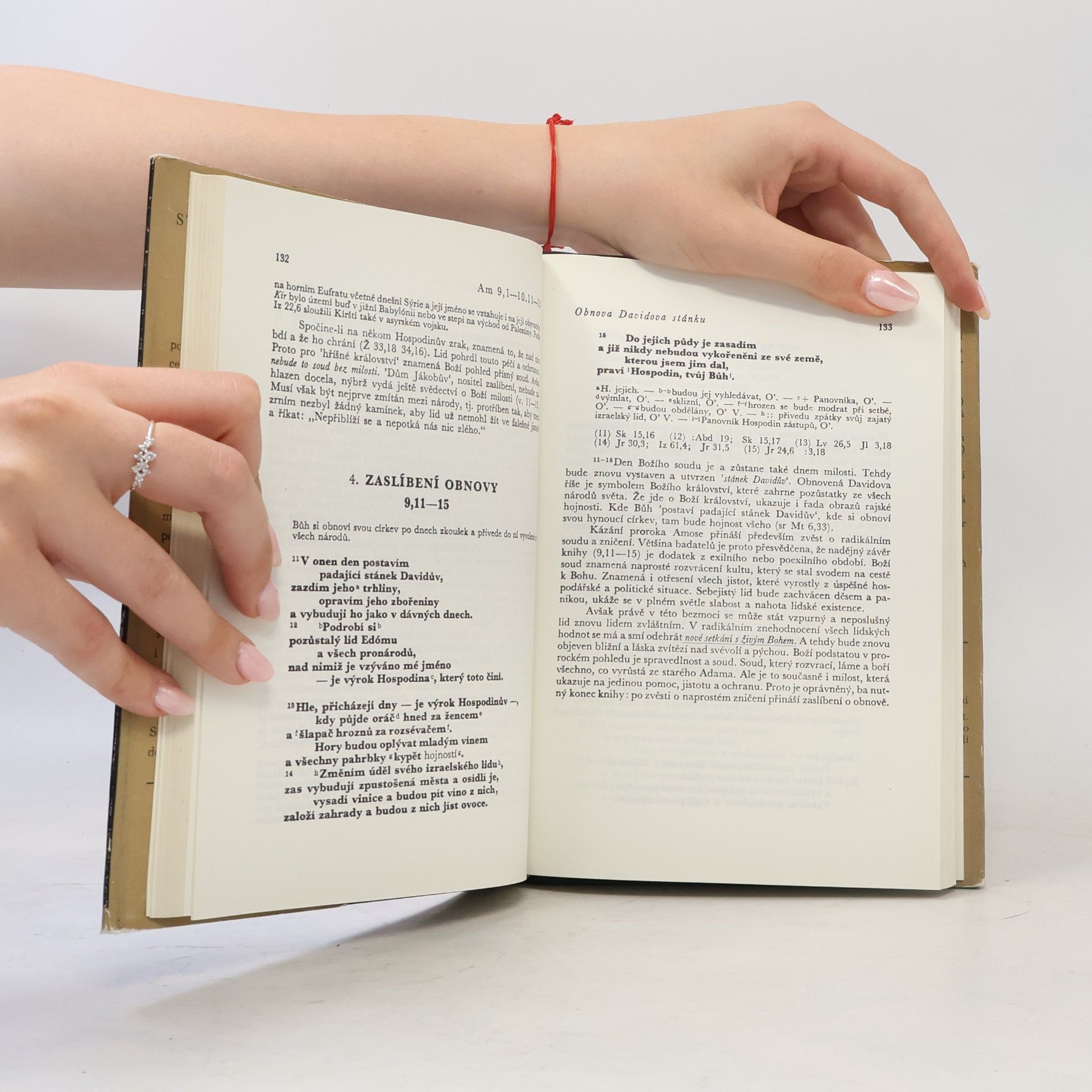 Autorenkollektiv Starý zákon. Překlad s výkladem 14. Dvanáct proroků