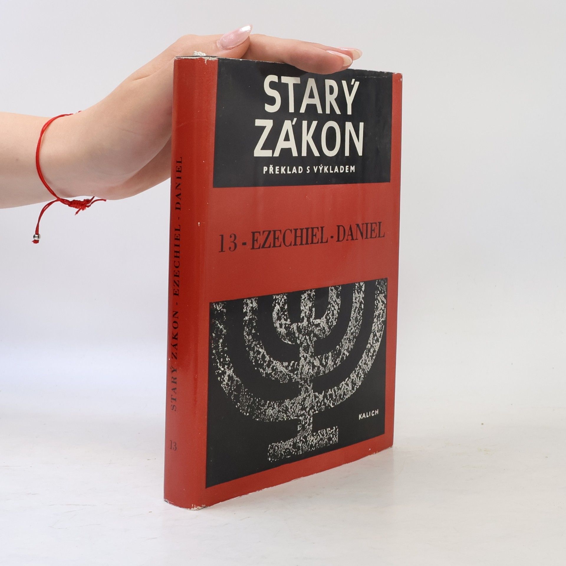 Autorenkollektiv Starý zákon. Překlad s výkladem 13. Ezechiel-Daniel