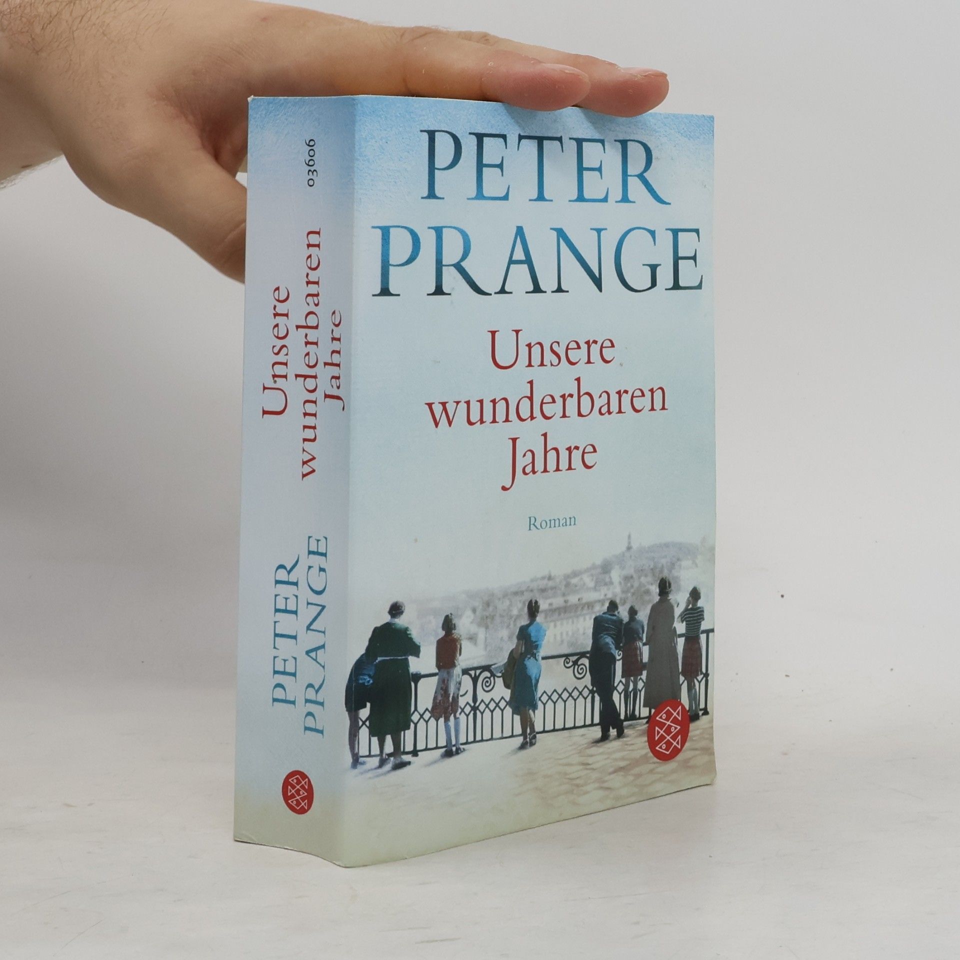 Peter Prange Unsere wunderbaren Jahre
