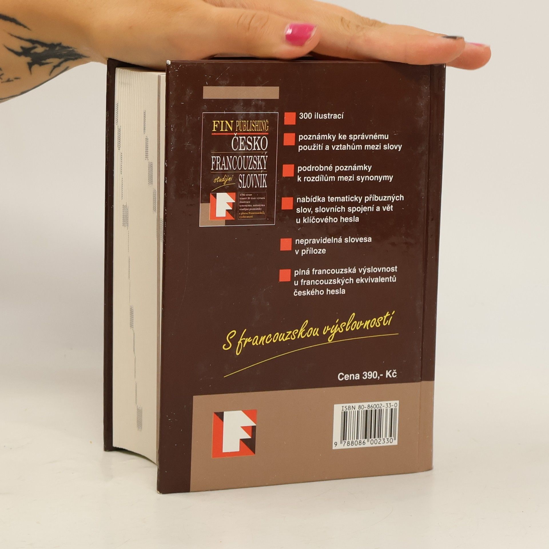 Kolektiv autorů Česko-francouzský slovník