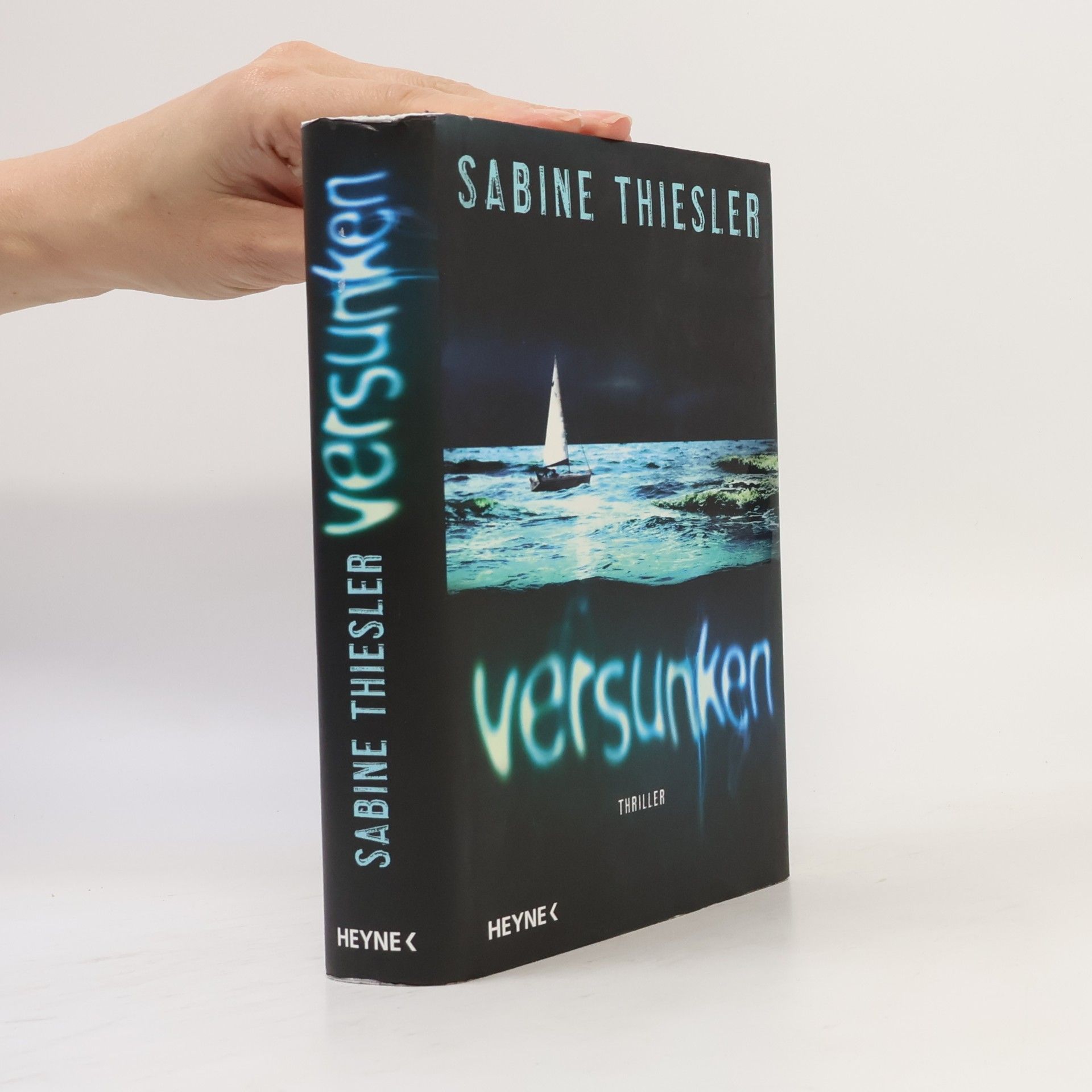 Sabine Thiesler Versunken
