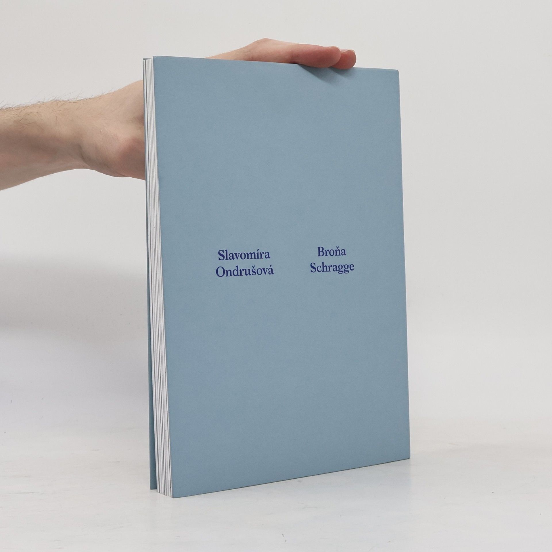 Autorenkollektiv Ilustrovaná ústava Slovenskej republiky
