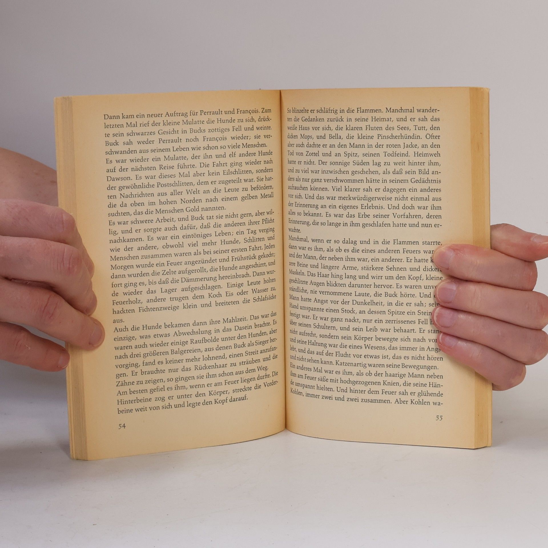 Jack London Der Ruf der Wildnis