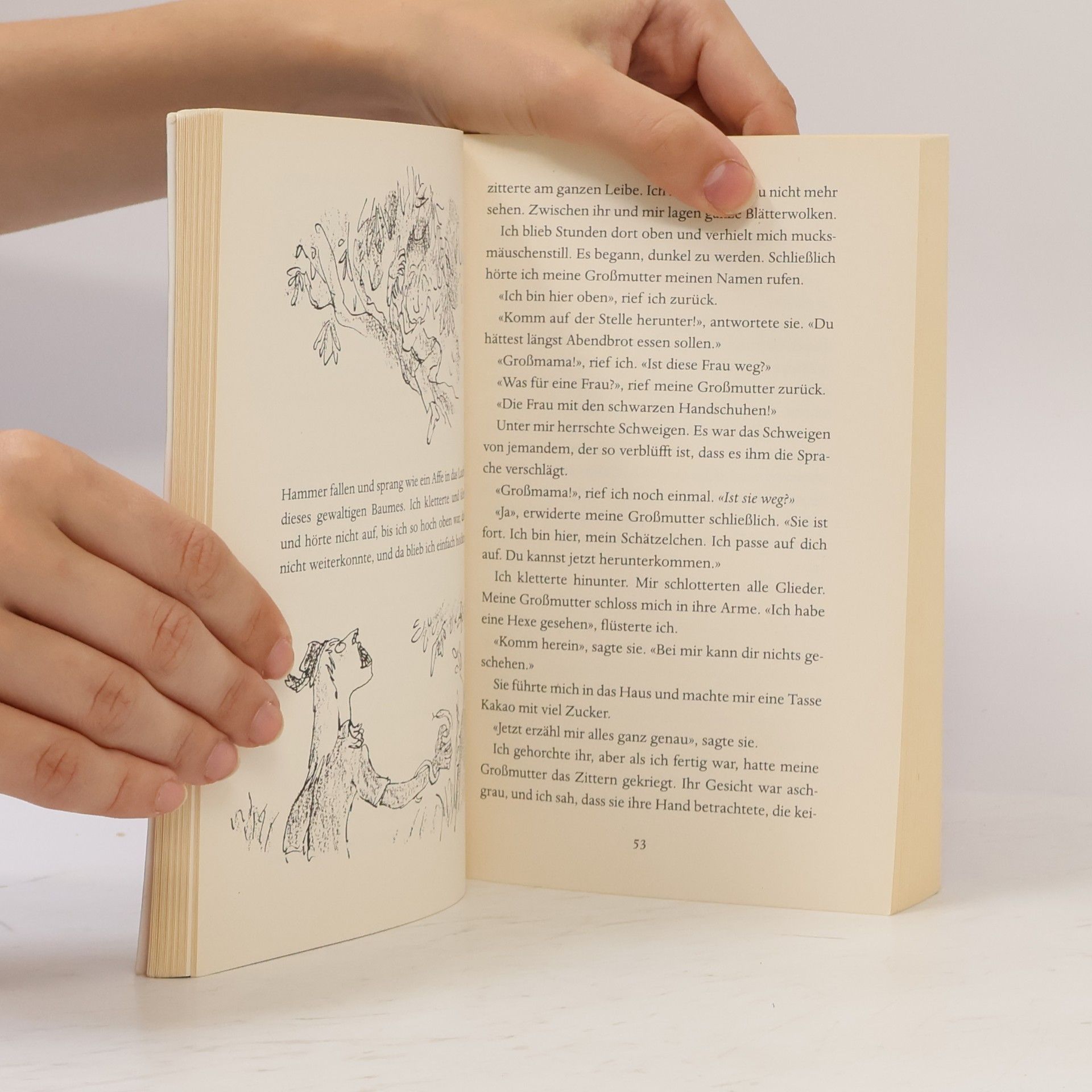 Roald Dahl Hexen hexen