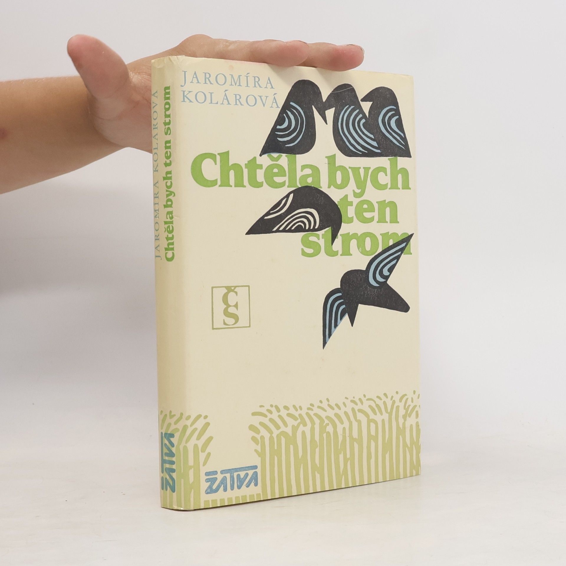 Jaromíra Kolárová Chtěla bych ten strom