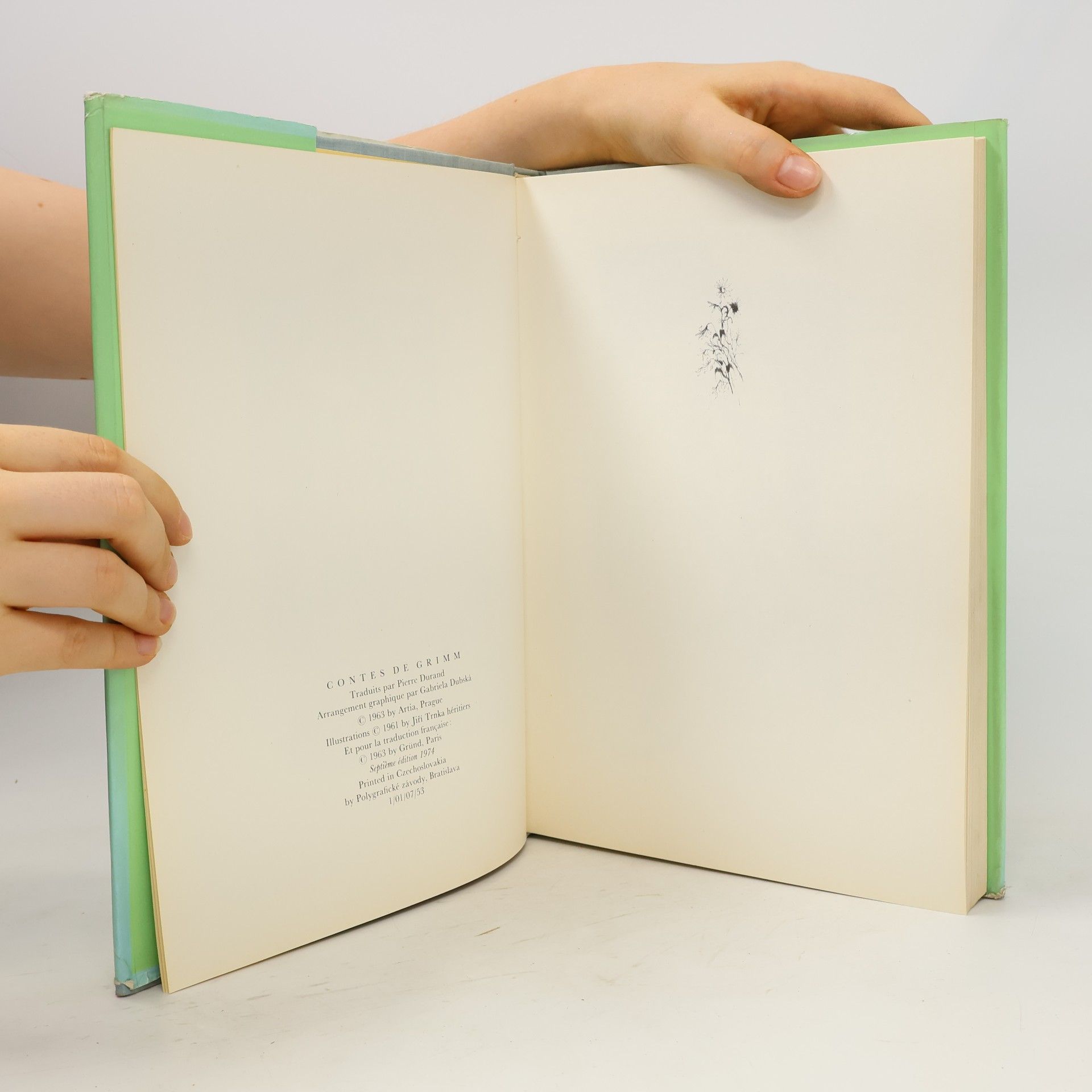 Jacob Grimm Contes de Grimm