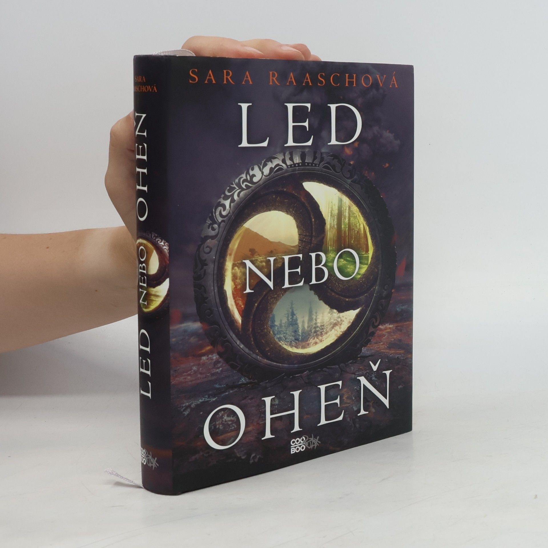 Sara Raash Led nebo oheň