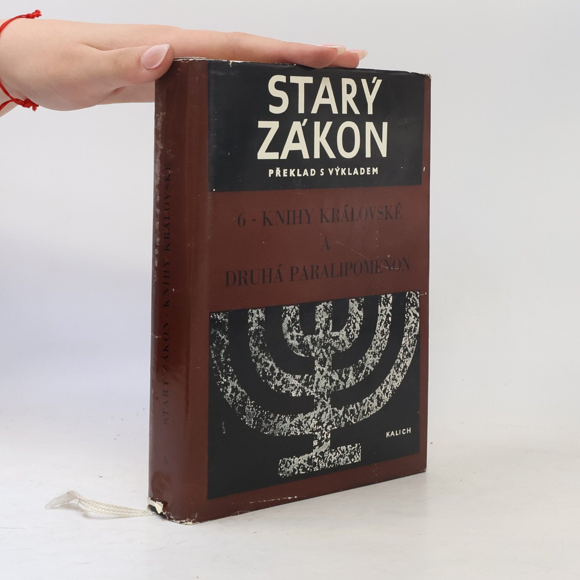 Collectif d'auteurs Starý zákon 6. Knihy královské a druhá Paralipomenon