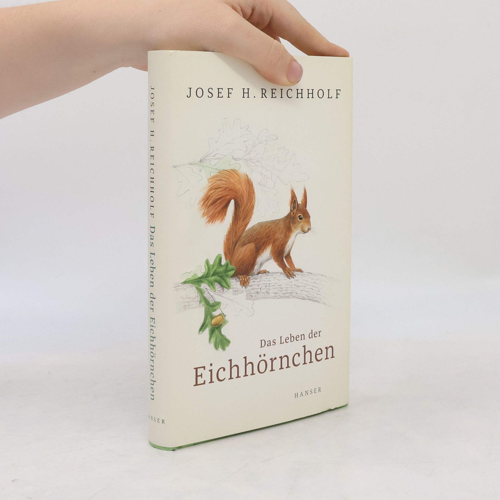 Josef Reichholf Das Leben der Eichhörnchen