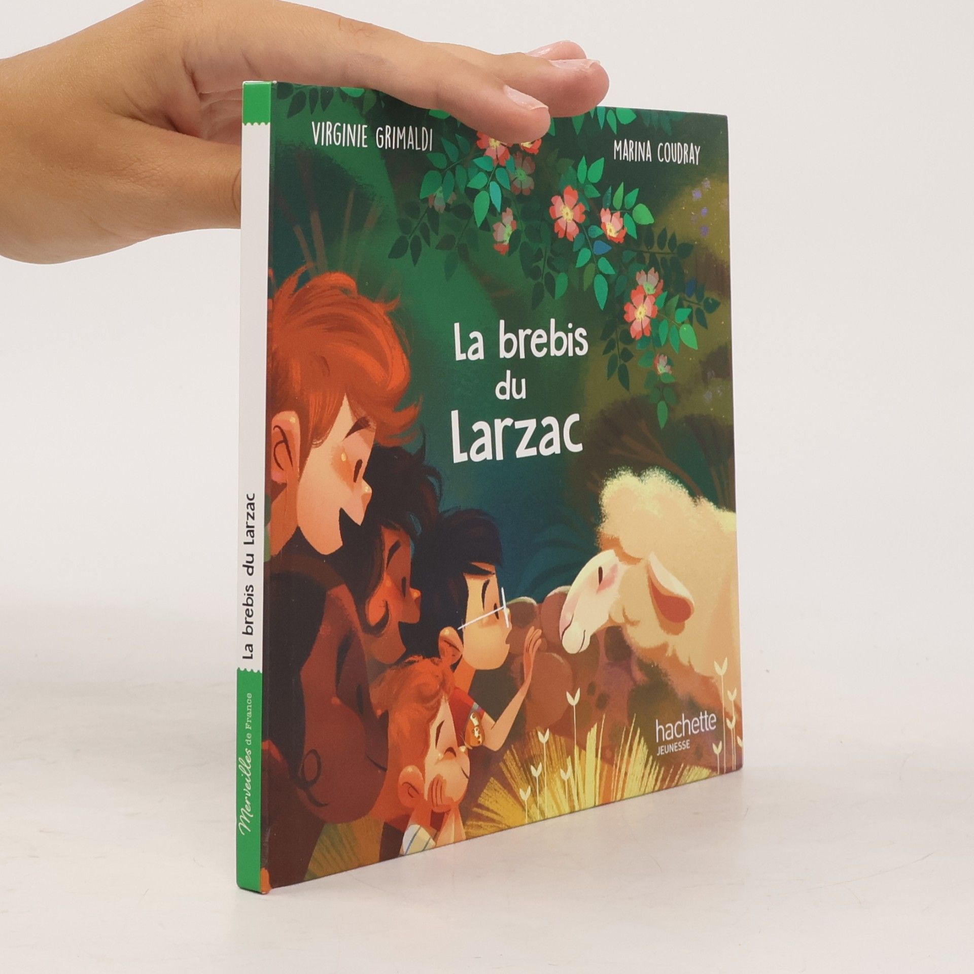La brebis du Larzac