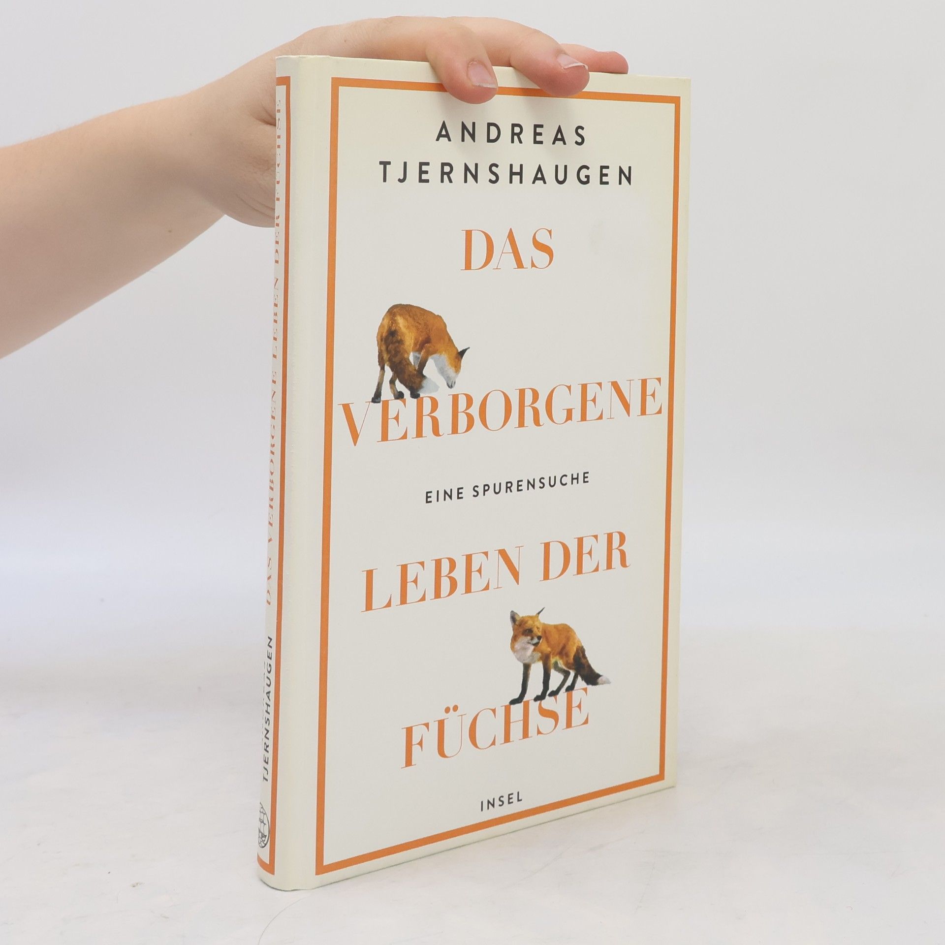 Andreas Tjernshaugen Das verborgene Leben der Füchse. Eine Spurensuche | Eine faktenreiche, unterhaltsame und muntere Liebeserklärung an den Fuchs
