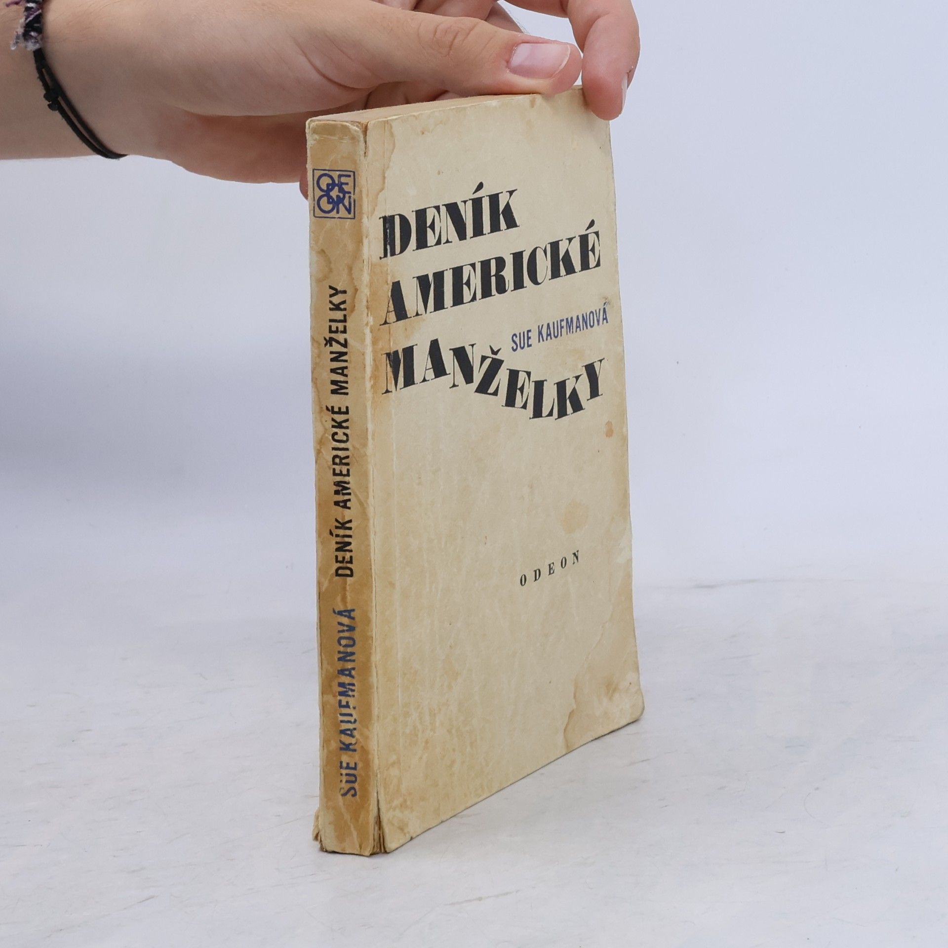 Sue Kaufman Deník americké manželky