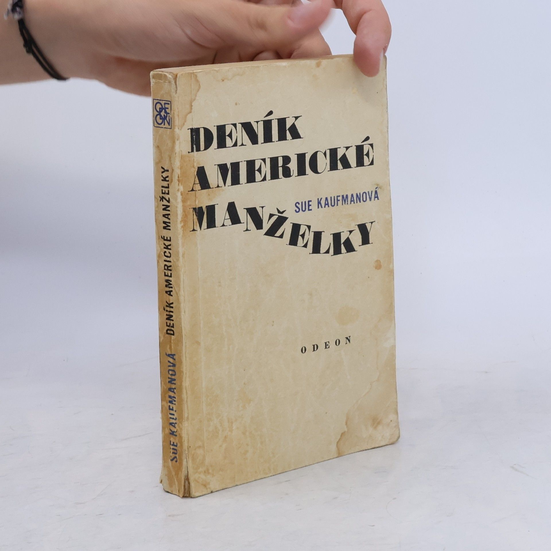 Sue Kaufman Deník americké manželky