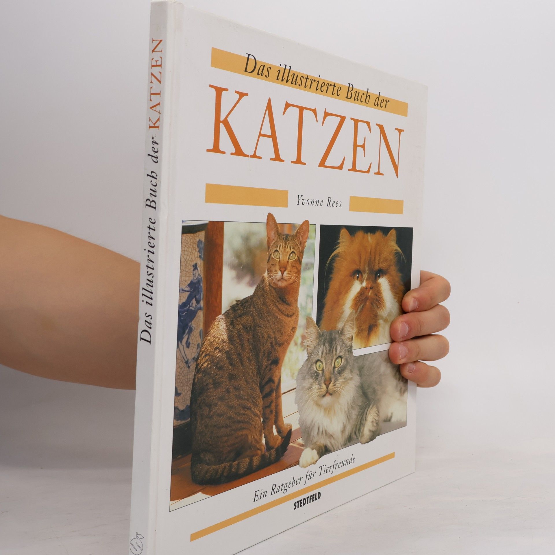 Yvonne Rees Das illustrierte Buch der Katzen