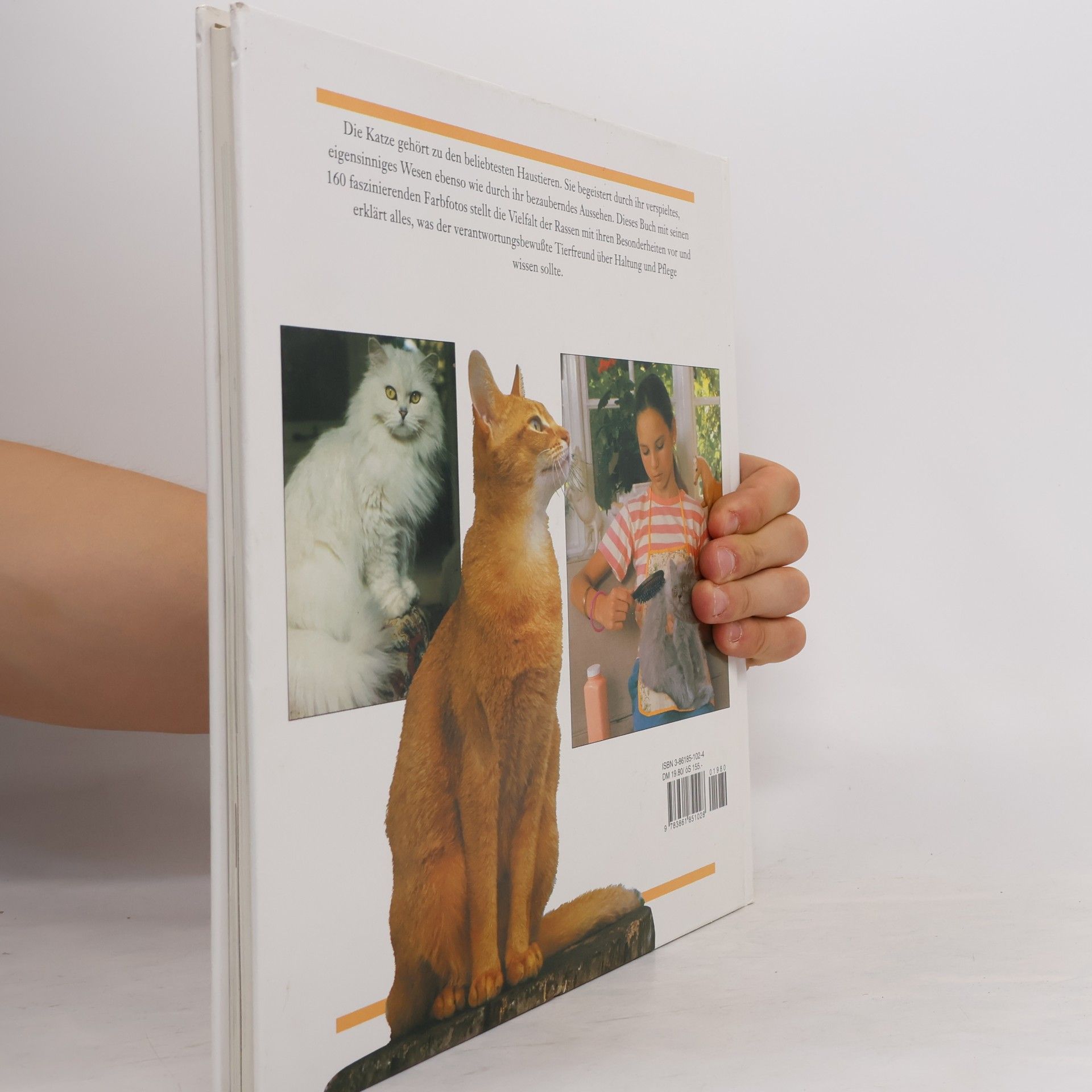 Yvonne Rees Das illustrierte Buch der Katzen
