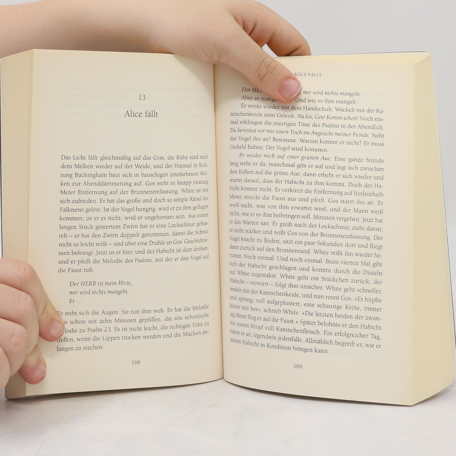 Helen Macdonald H wie Habicht