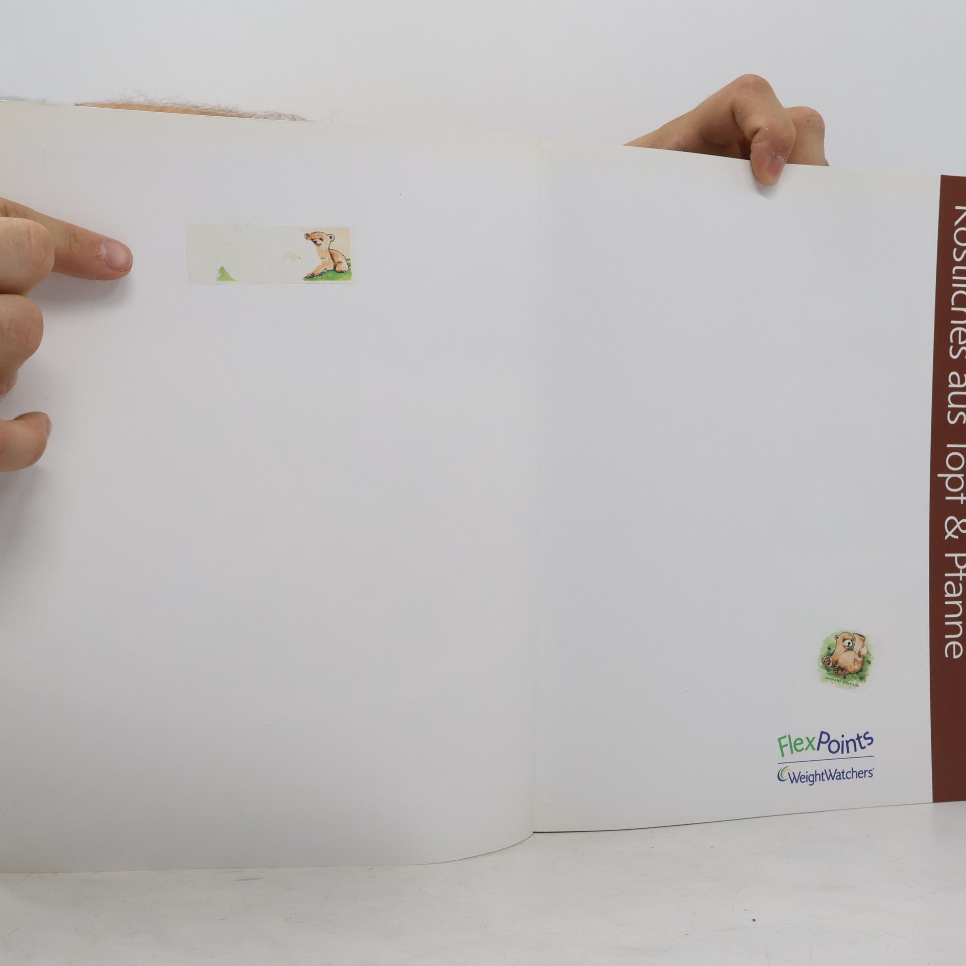 Autorenkollektiv Köstliches aus Topf & Pfanne
