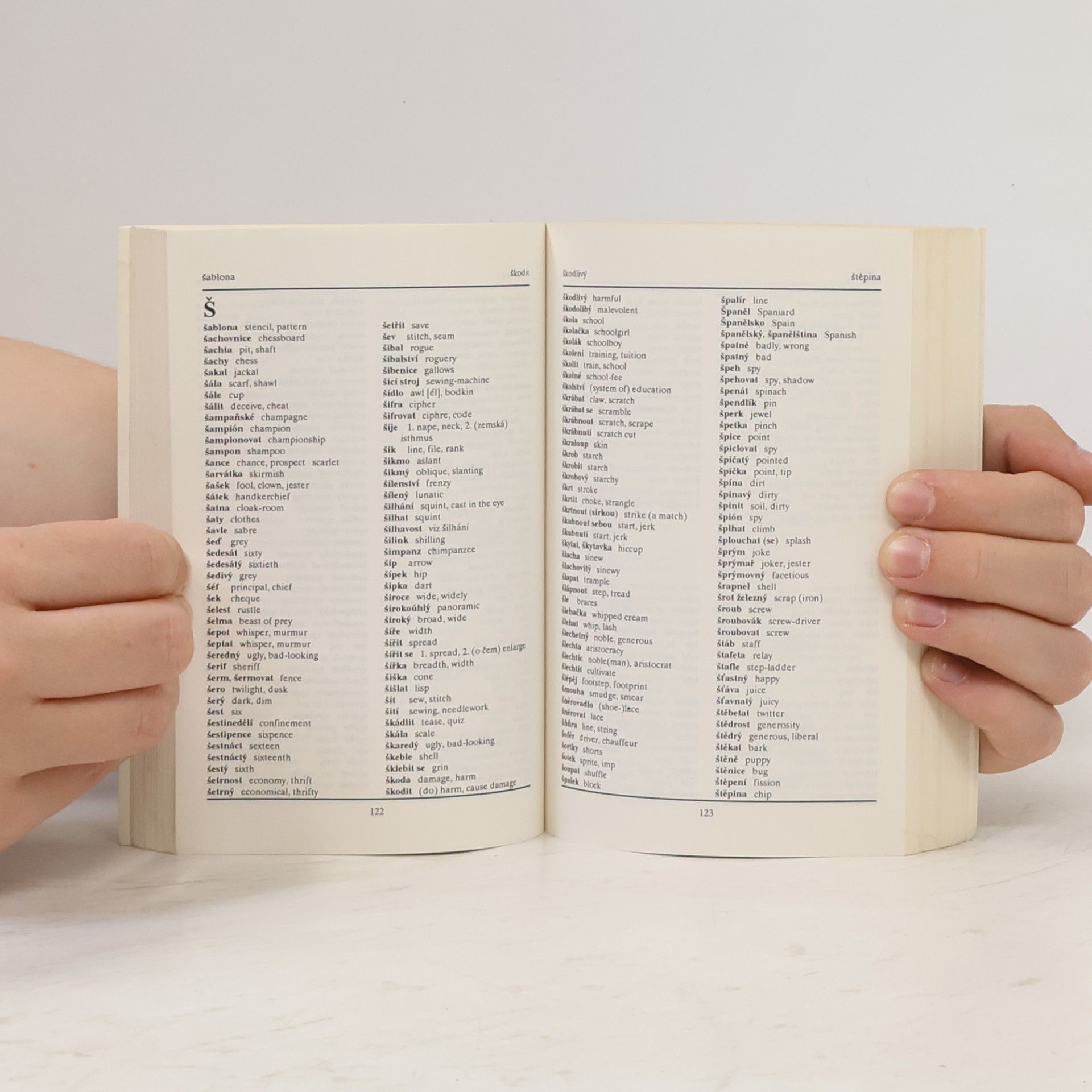 Various authors Česko-anglický slovník
