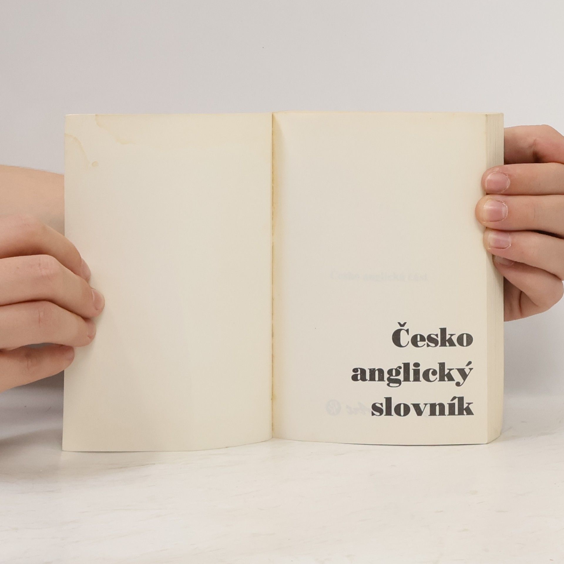 Various authors Česko-anglický slovník