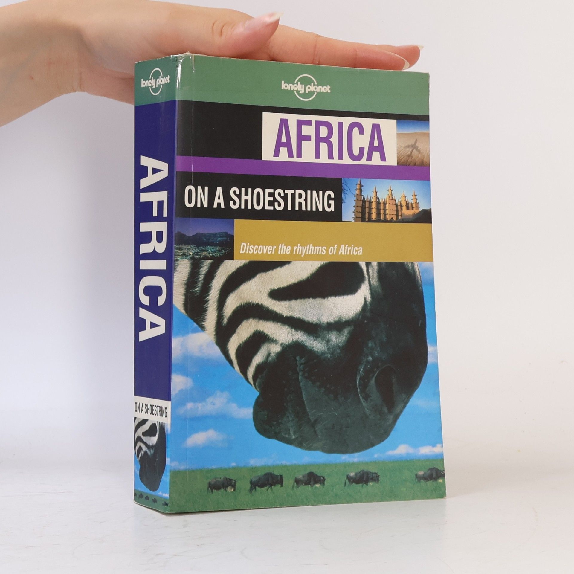 AA.VV. Africa on a shoestring