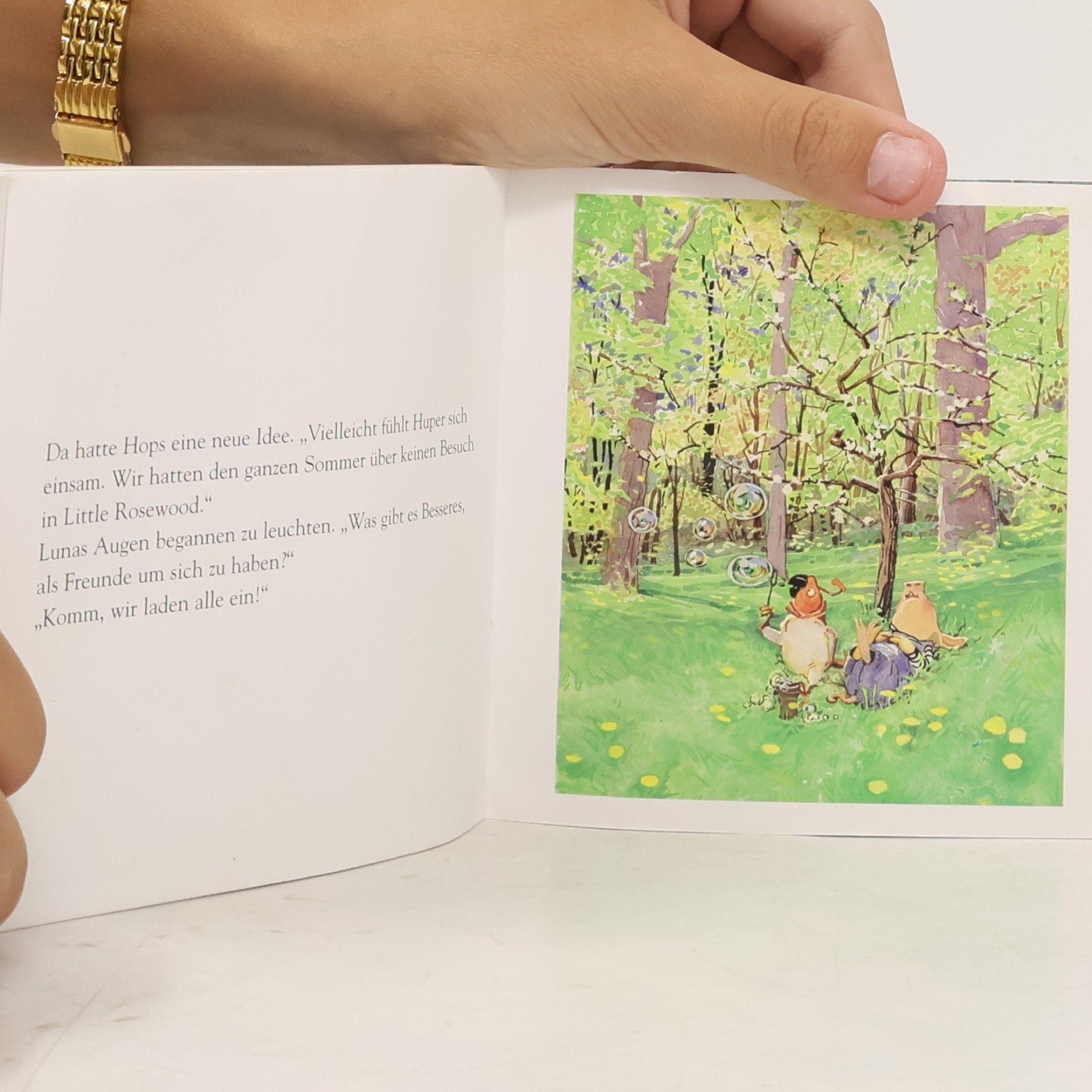 Holly Hobbie Ich wünschte, du wärst hier!