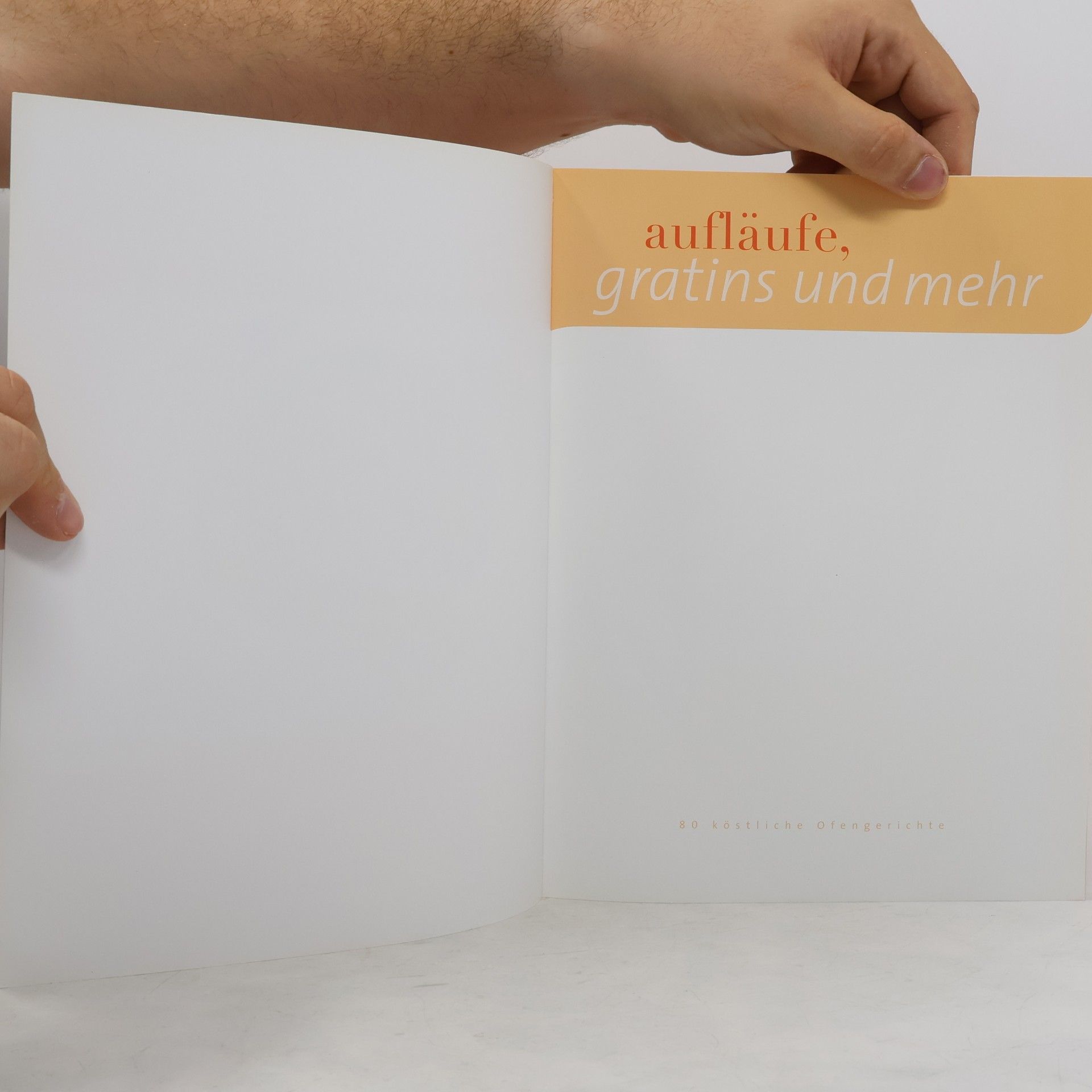 Autorenkollektiv Aufläufe, Gratins und mehr