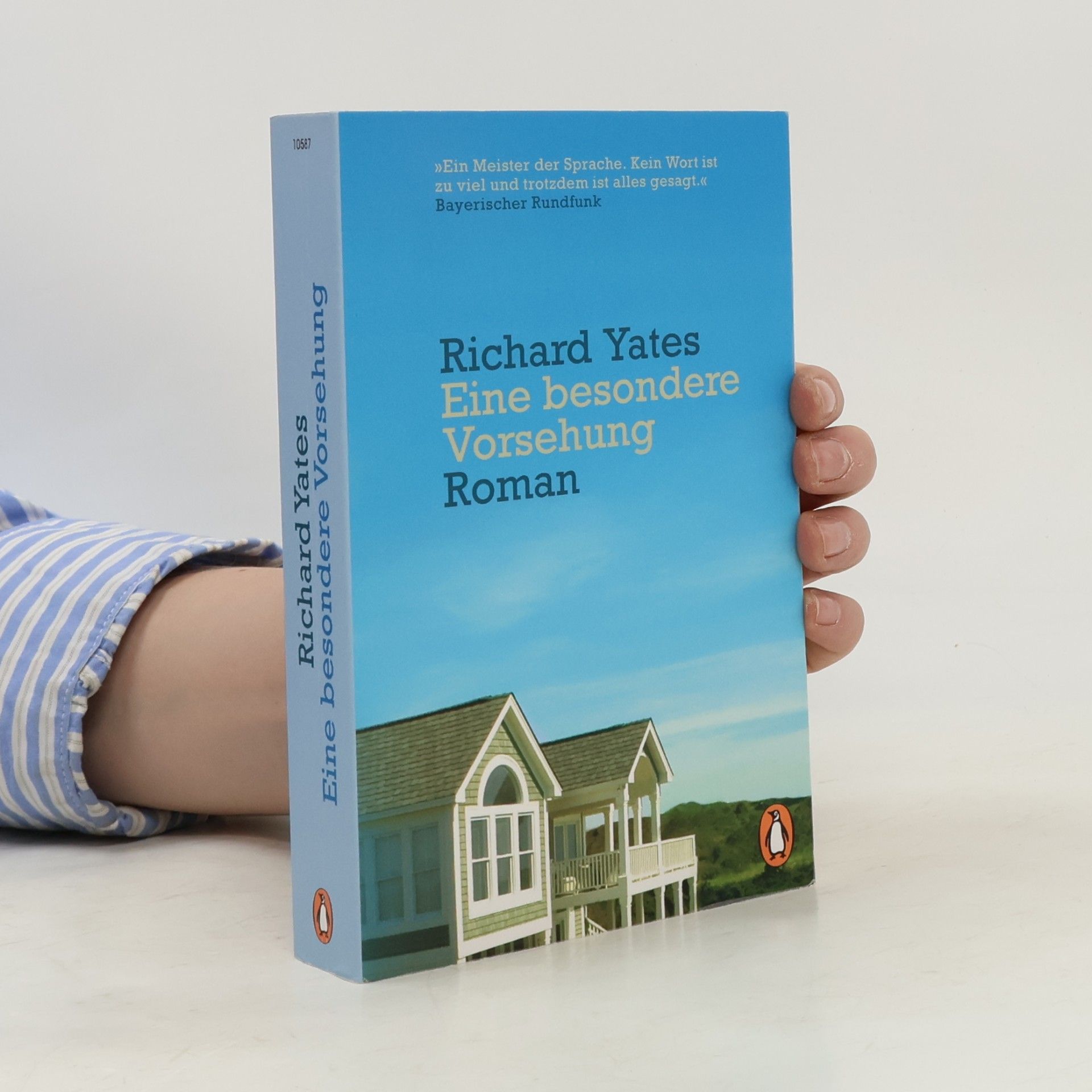 Richard Yates Eine besondere Vorsehung