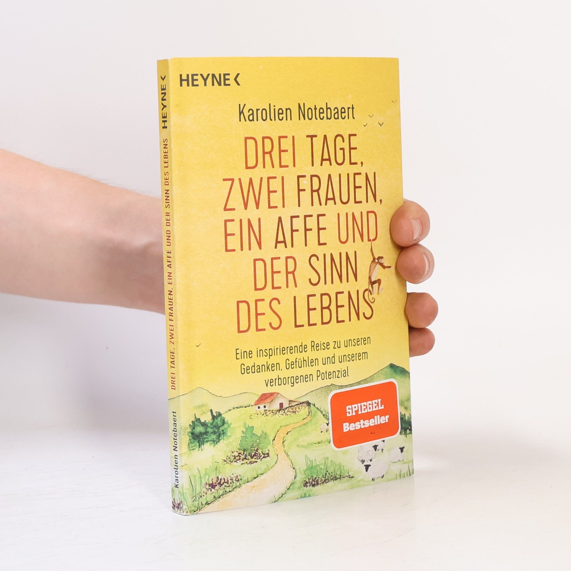 Karolien Notebaert Drei Tage, zwei Frauen, ein Affe und der Sinn des Lebens