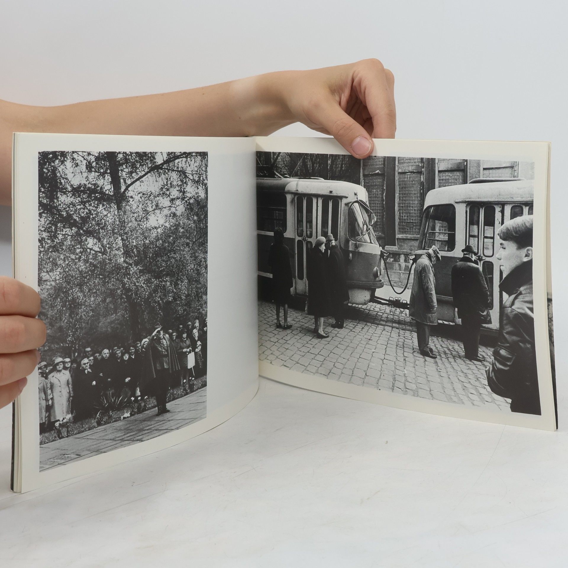 Autores varios Dagmar Hochová
