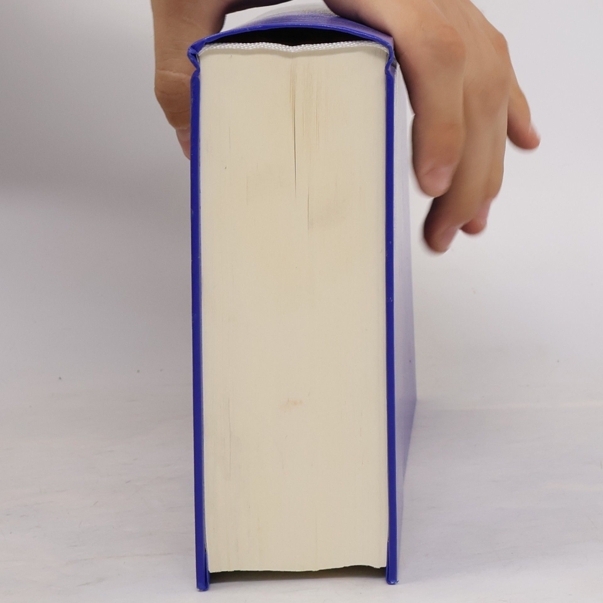 Kolektív autorov Amtliches AO-Handbuch 2017