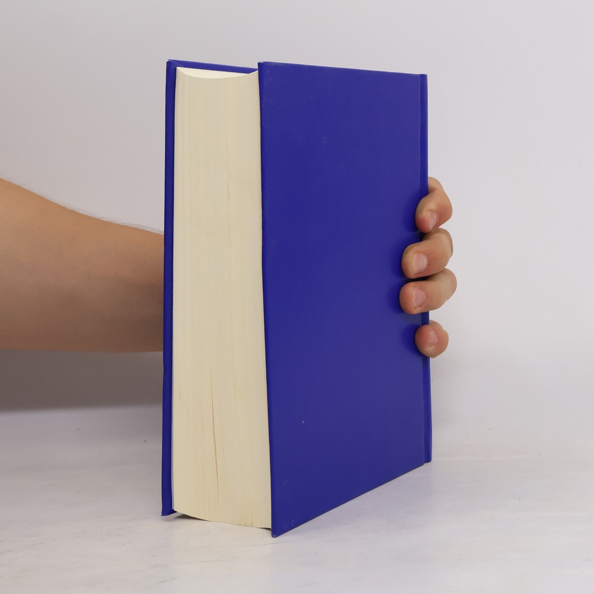 Kolektív autorov Amtliches AO-Handbuch 2017
