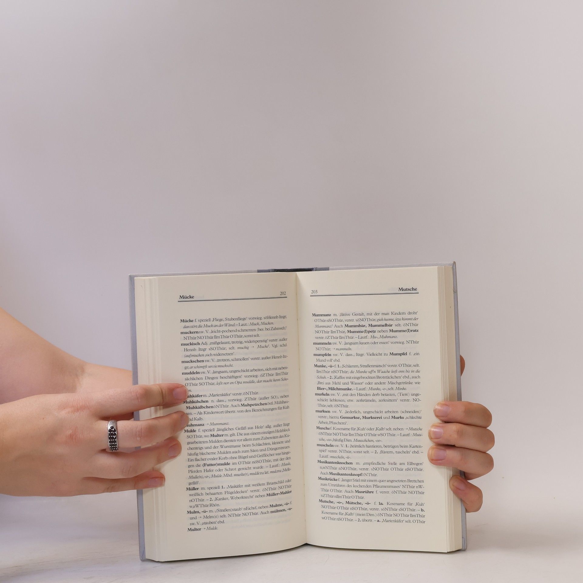 Karl Spangenberg Kleines thüringisches Wörterbuch