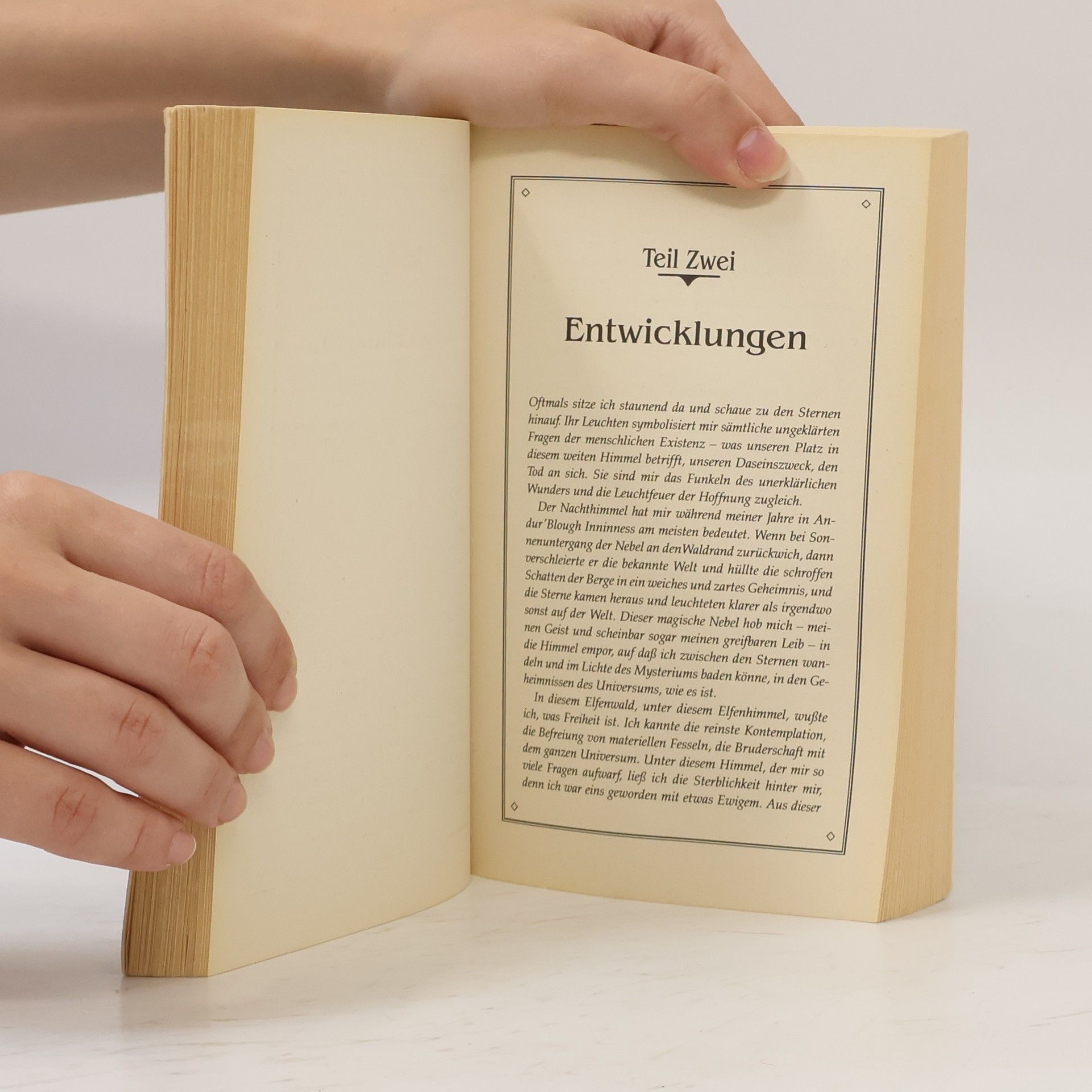 R. A. Salvatore Dämonendämmerung 1. Nachtvogel