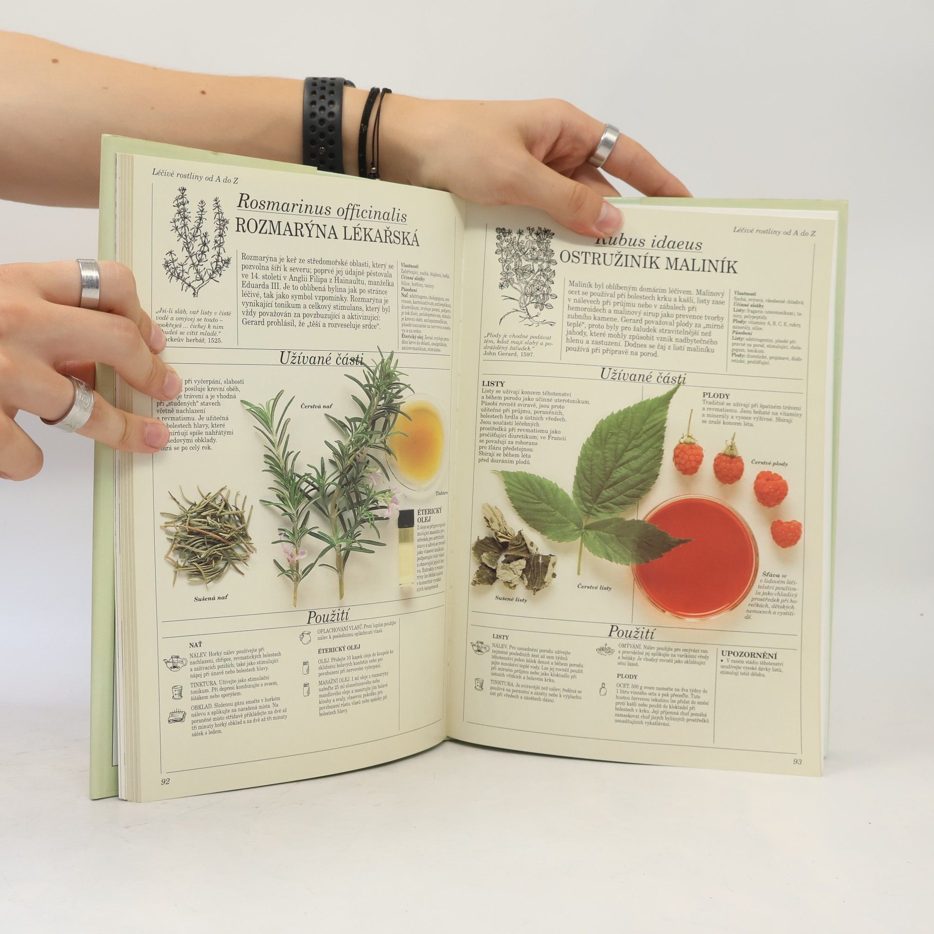 Penelope Ody Velký atlas léčivých rostlin
