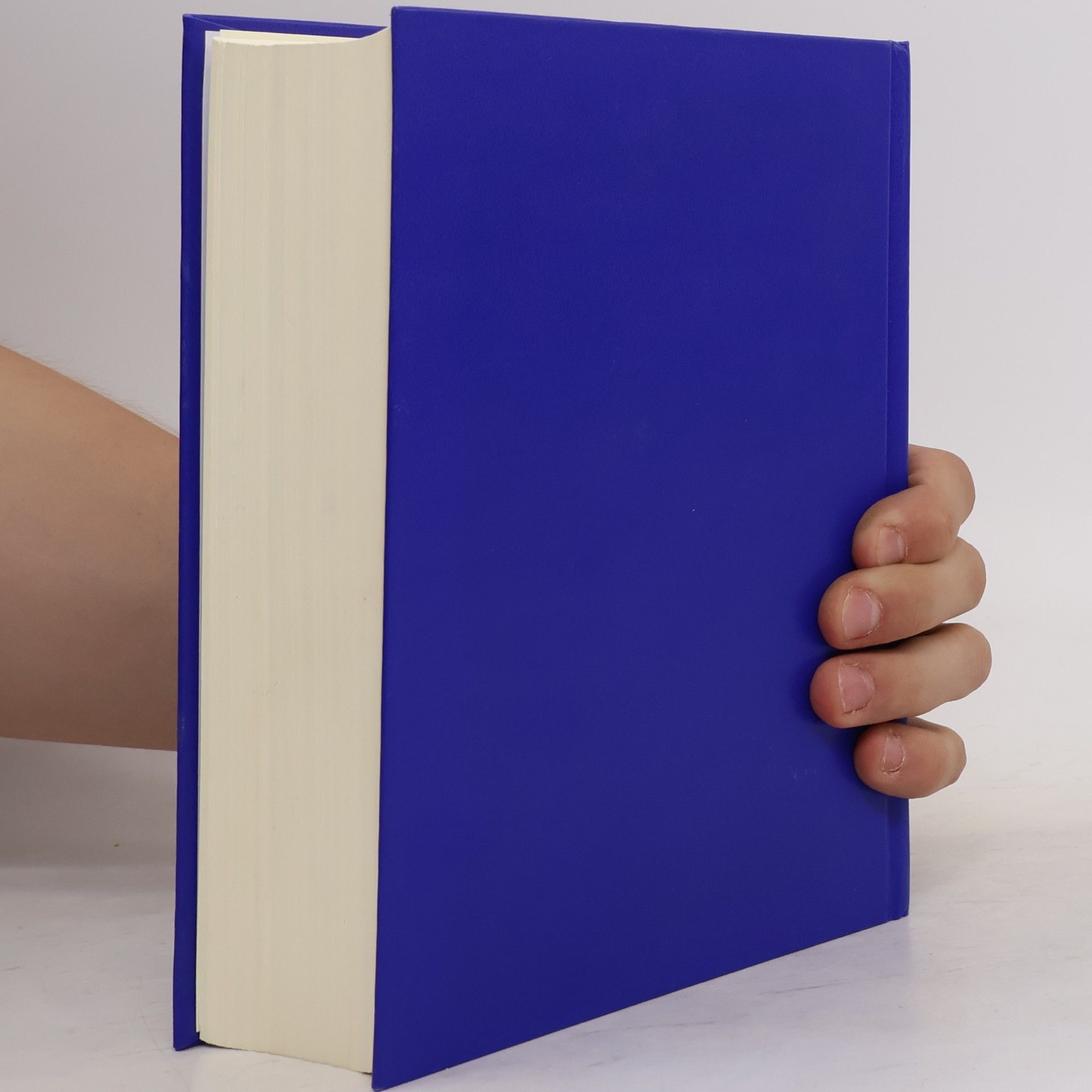 Amtliches AO-Handbuch 2016