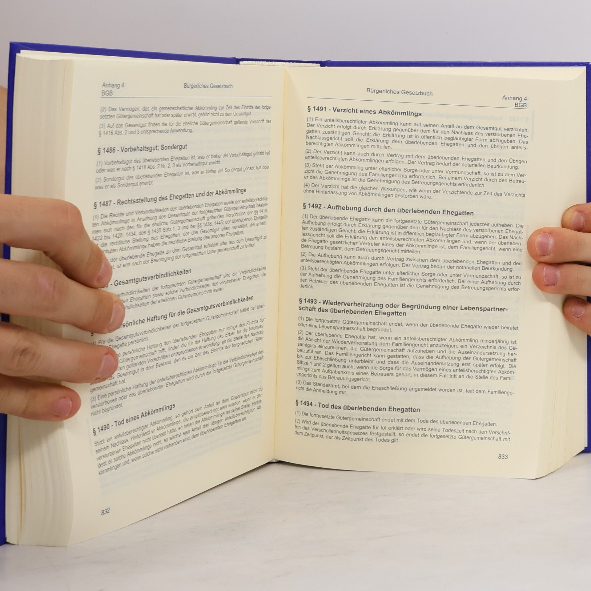 Amtliches AO-Handbuch 2016