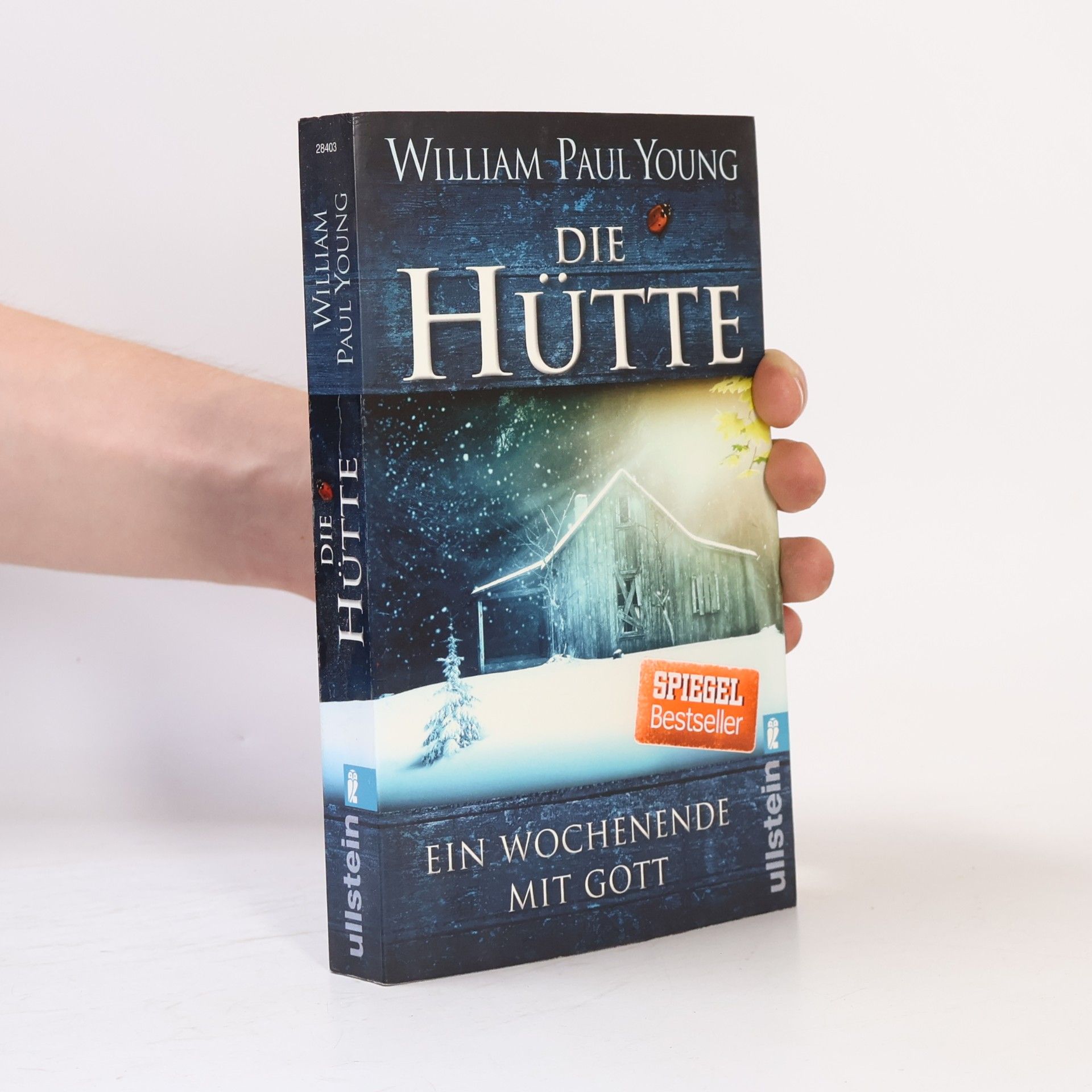 William P. Young Die Hütte