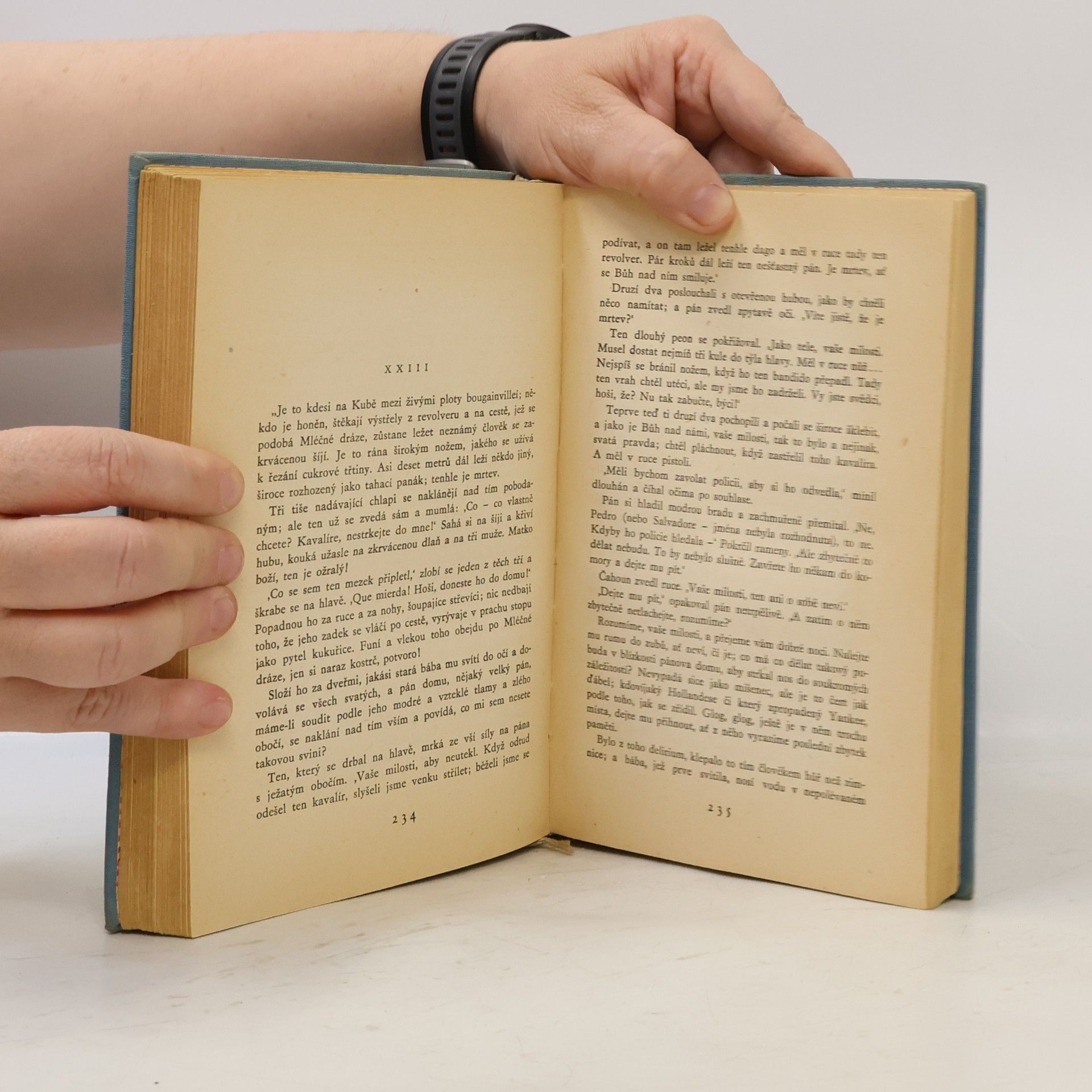 Karel Čapek Dílo bratří Čapků. Hordubal. Povětroň. Obyčejný život