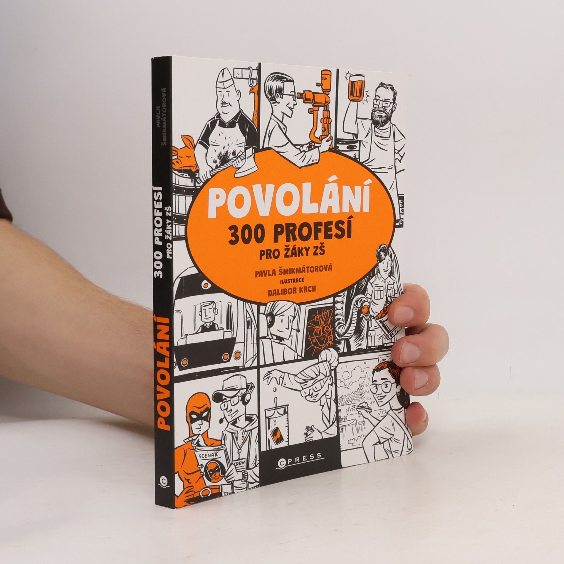 Pavla Šmikmátorová Povolání
