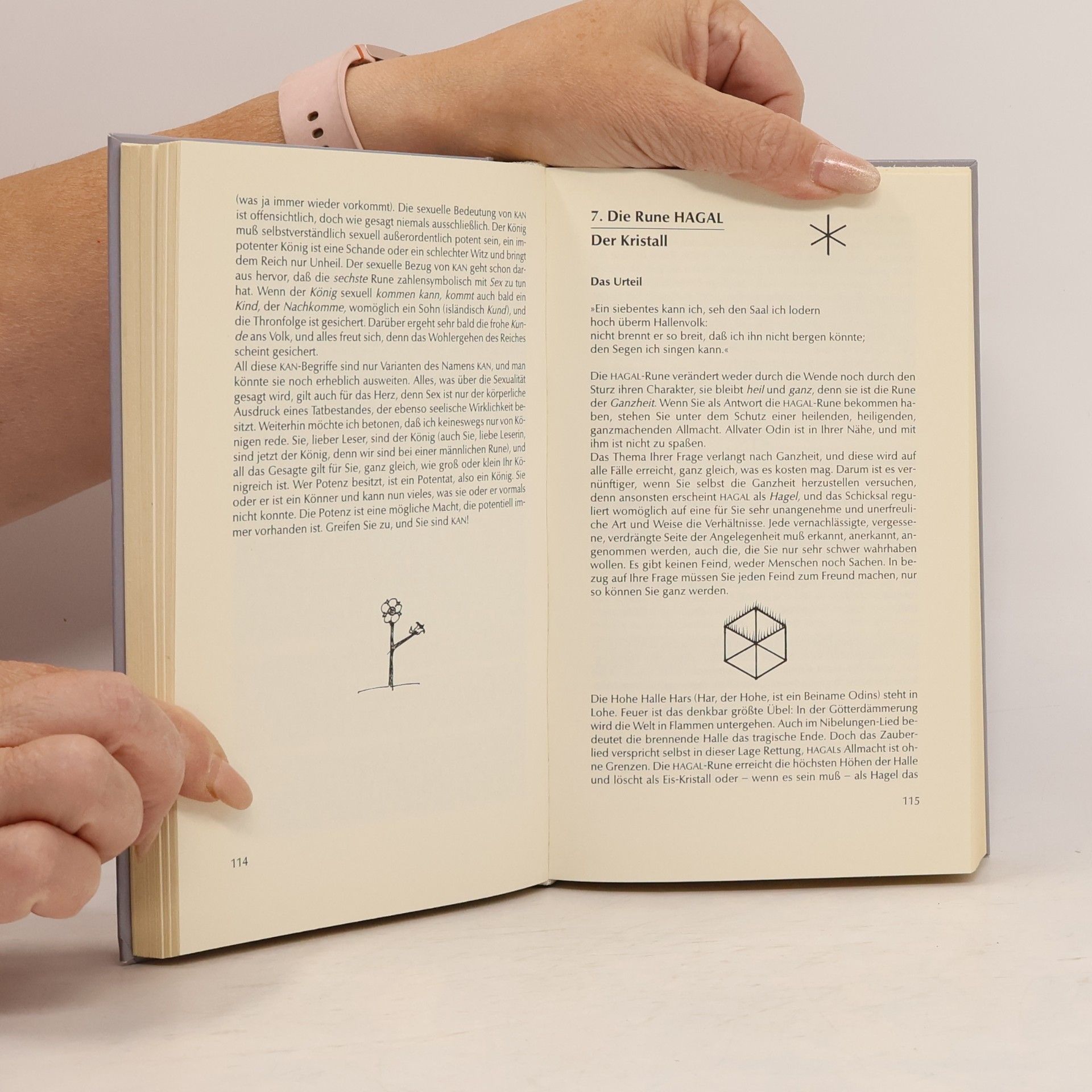 Zoltán Szabó Buch der Runen