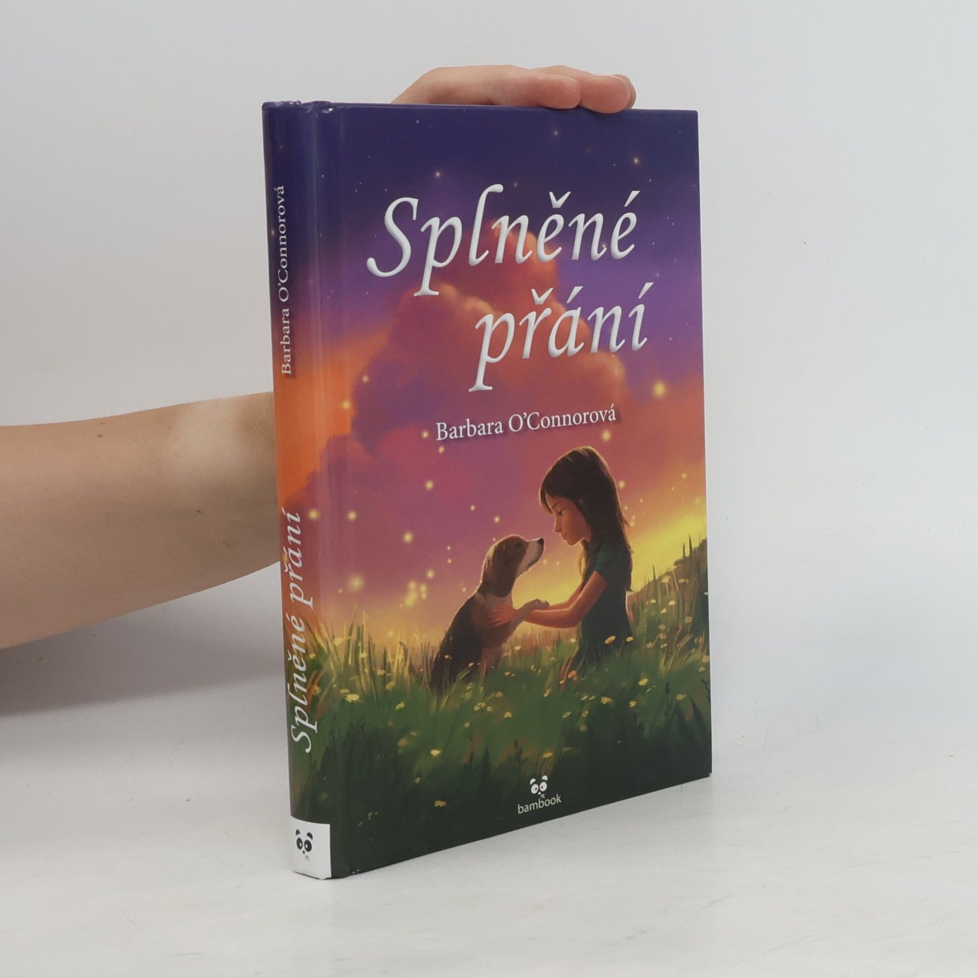 Barbara O'Connor Splněné přání