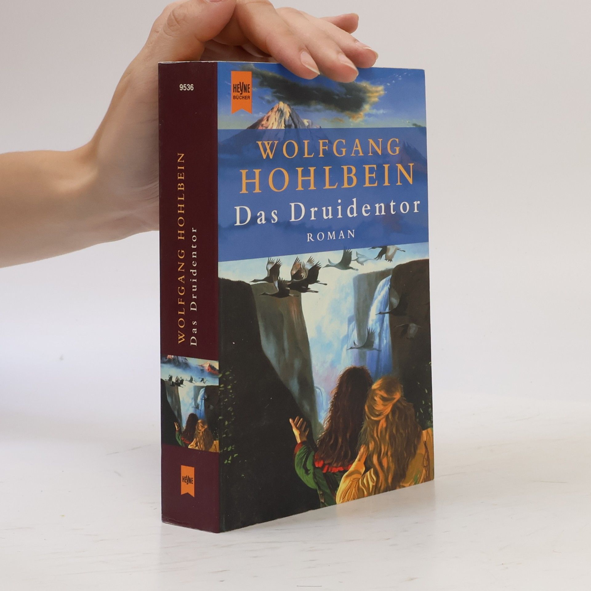 Wolfgang Hohlbein Das Druidentor