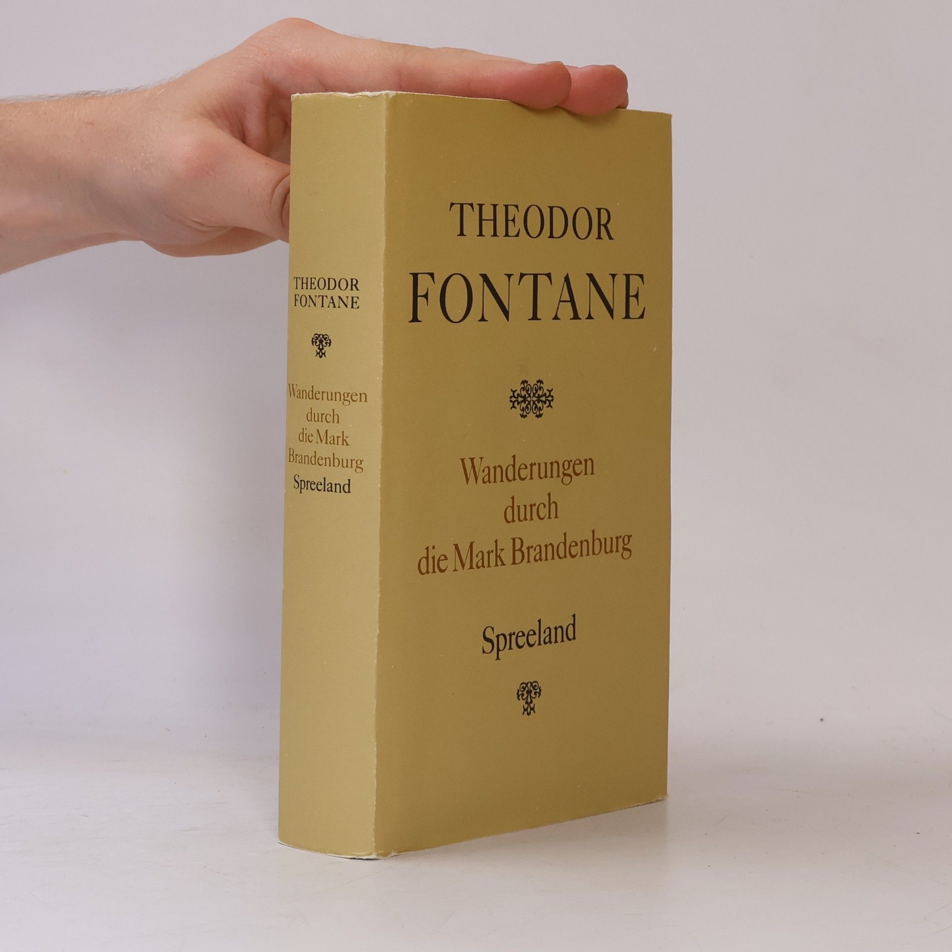Theodor Fontane Wanderungen durch die Mark Brandenburg 4. Spreeland