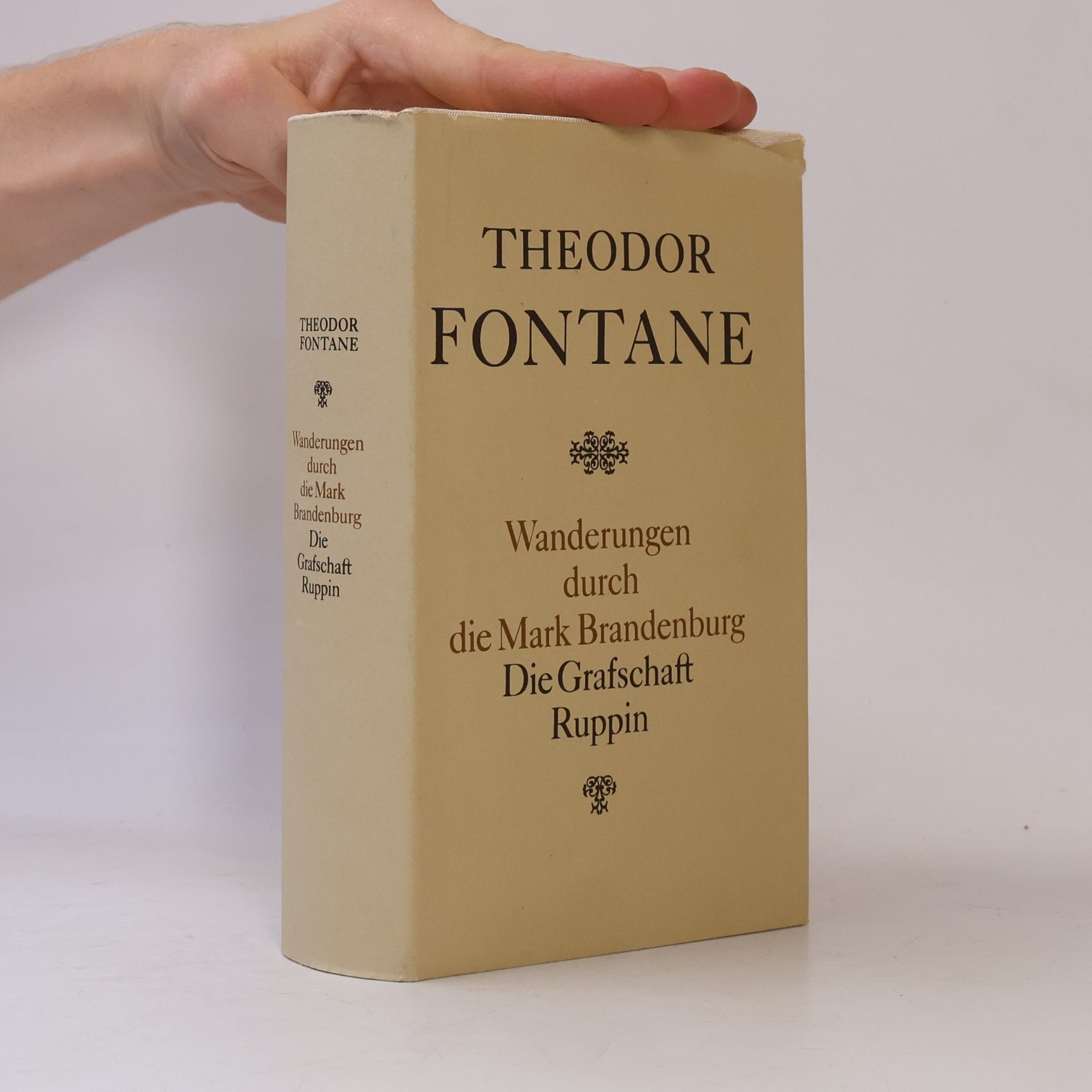 Theodor Fontane Wanderungen durch die Mark Brandenburg: Die Grafschaft Ruppin